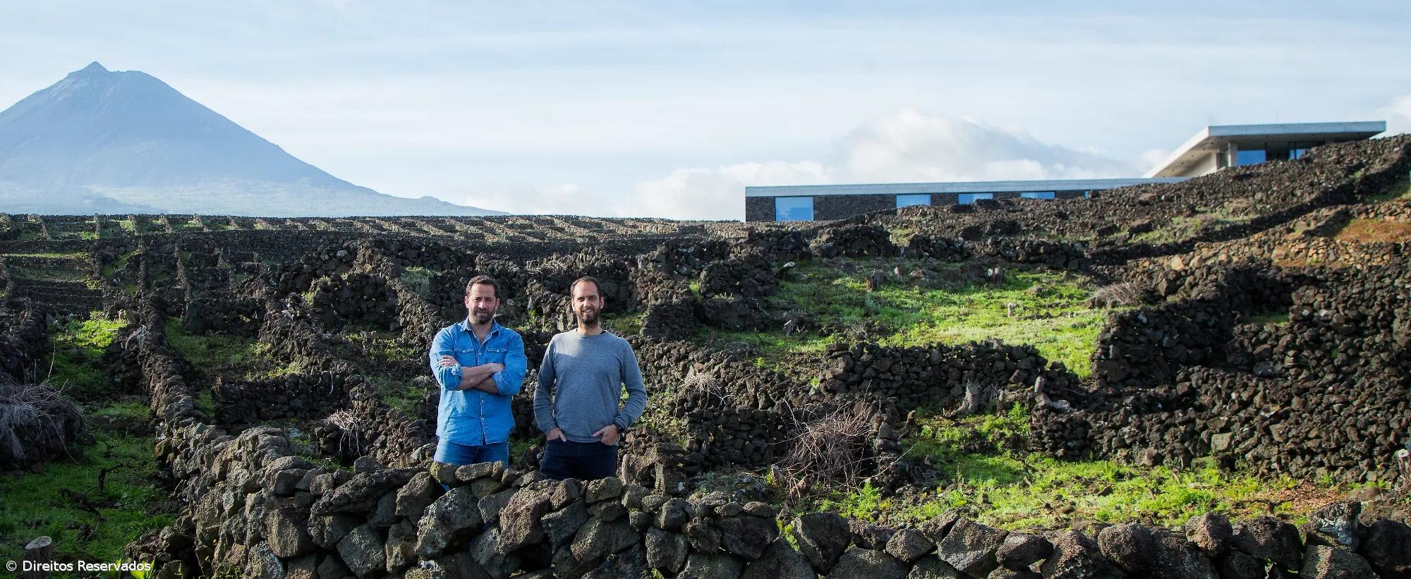 Azores Wine Company, dez anos a revolucionar o setor dos vinhos nos Açores – Imagem 1
