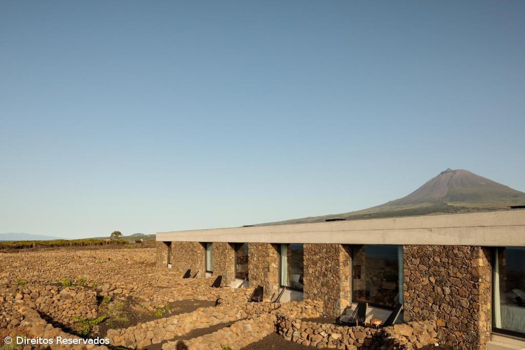 Azores Wine Company, dez anos a revolucionar o setor dos vinhos nos Açores – Imagem 3