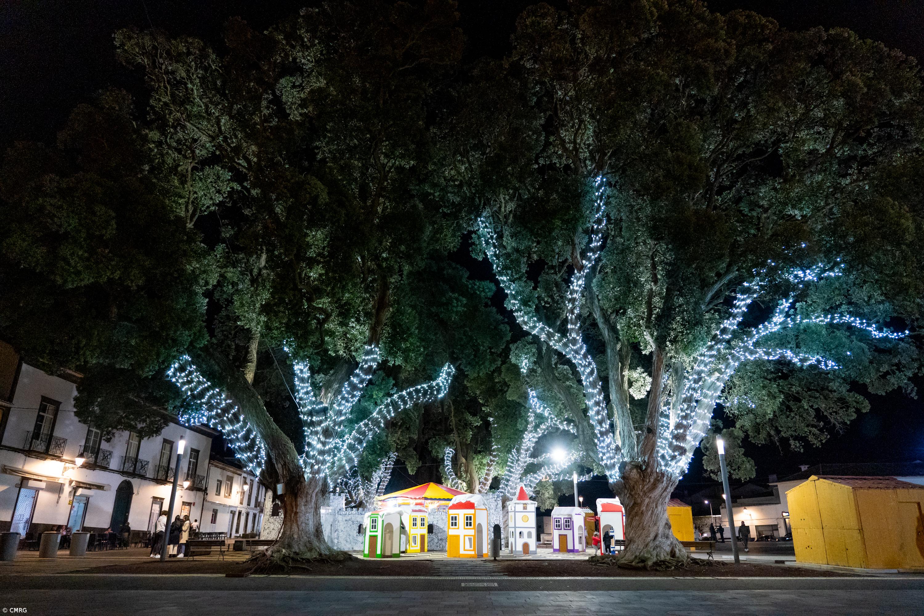 Ribeira Grande prepara Natal com muita animação, música e luz – Imagem 2