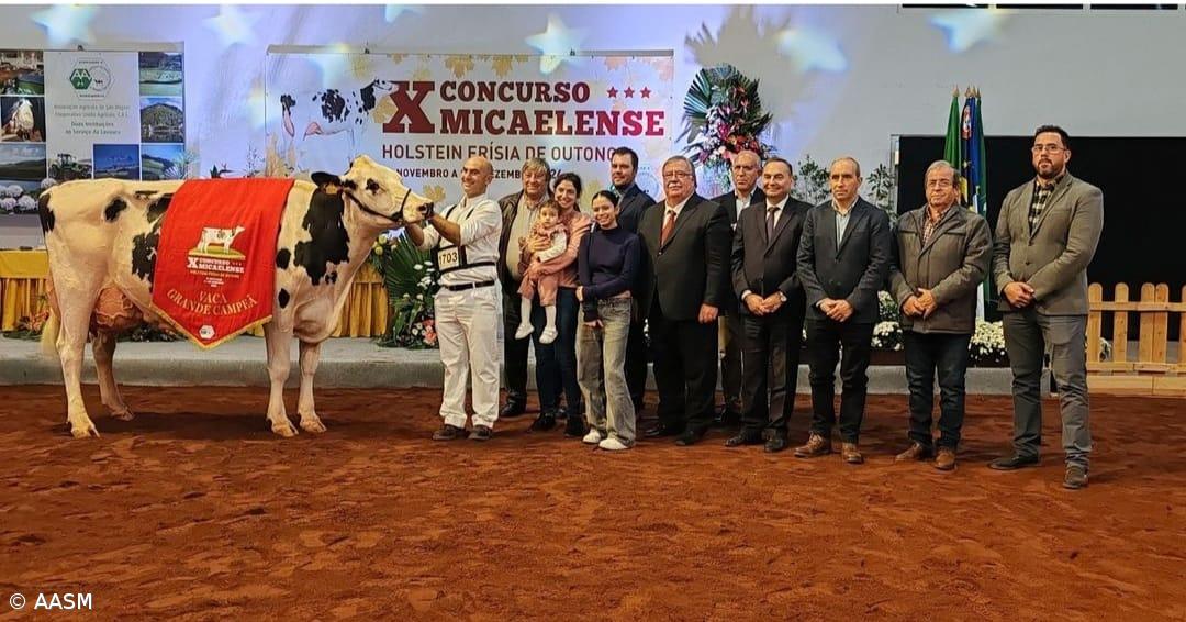 Vaca ‘Maravilha’ foi a Grande Campeã do Concurso de Outono – Imagem 1