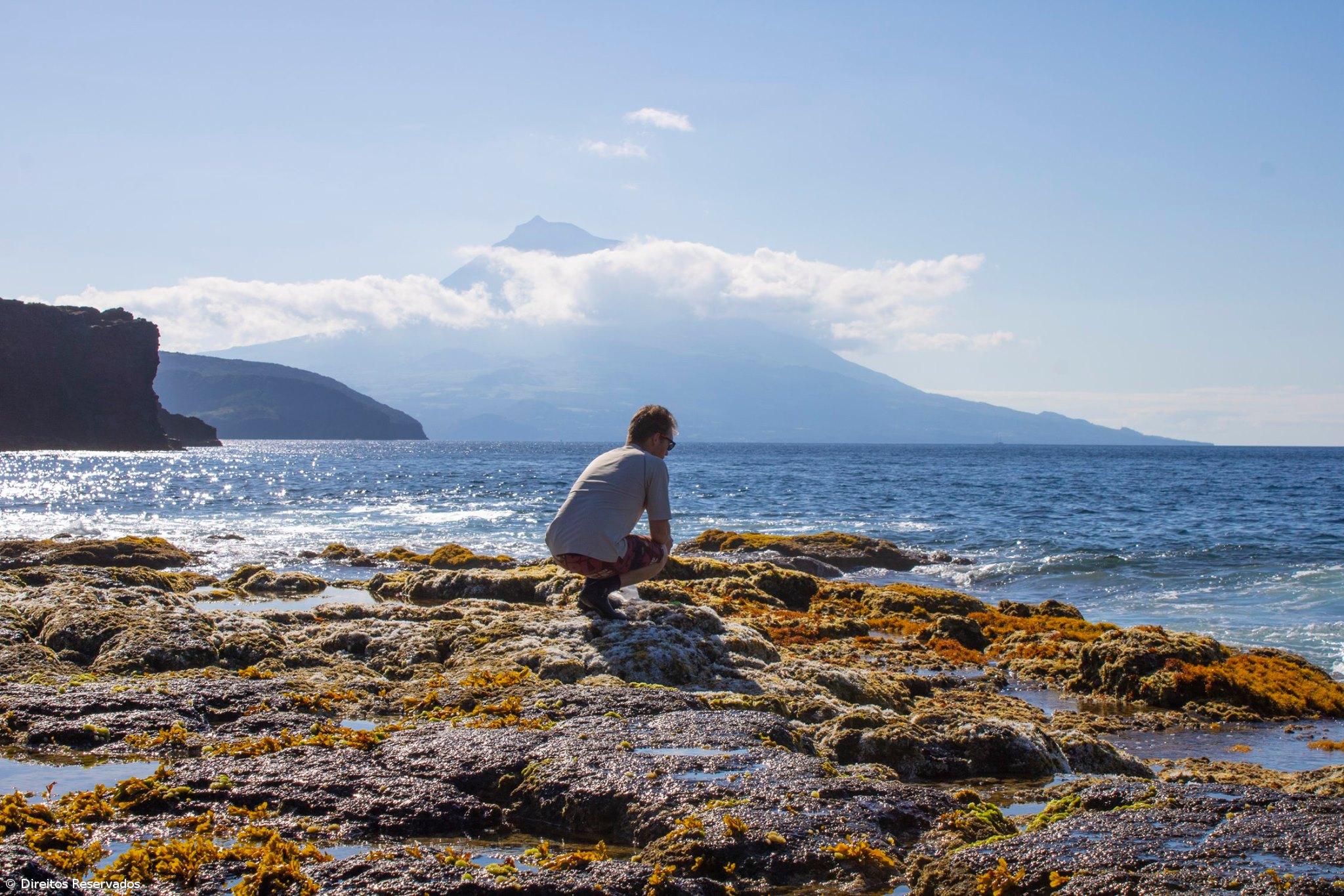 Utilização de algas para alimentação é um dos focos da SeaExpert para o futuro – Imagem 2