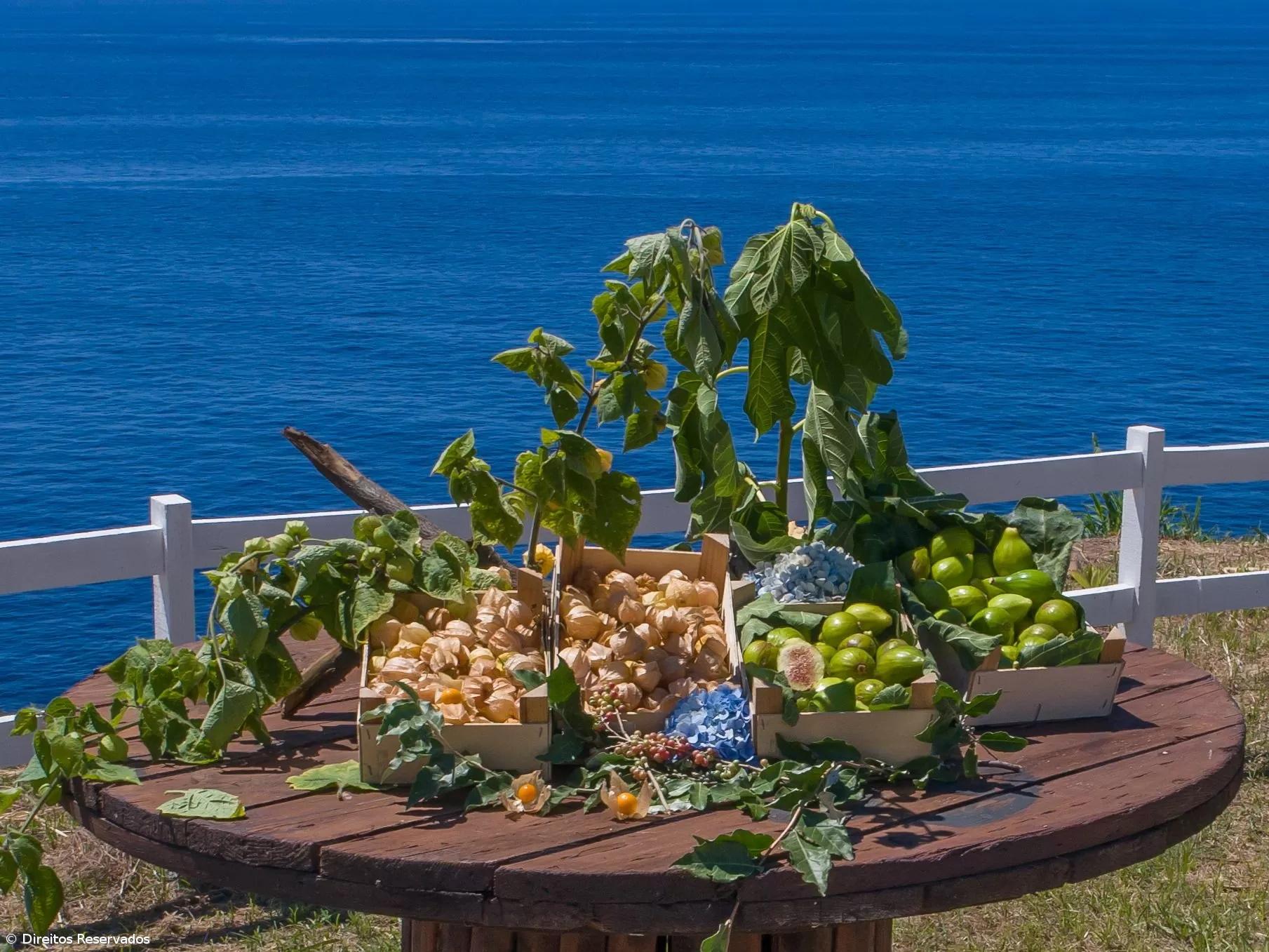 Frascos de respeito e paixão pela natureza – Imagem 3