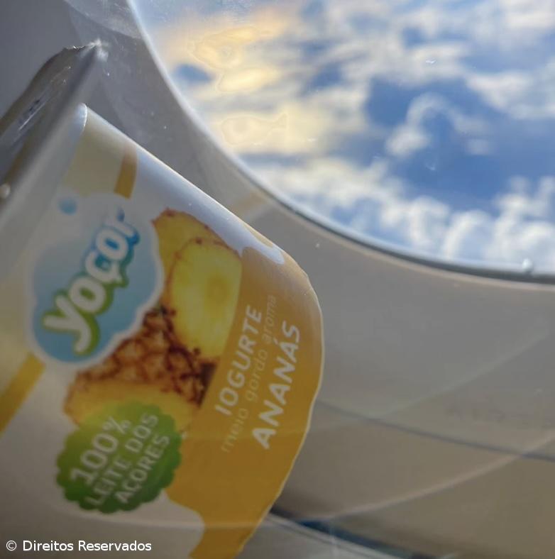 Do leite se faz e aos Açores sabe – Imagem 2