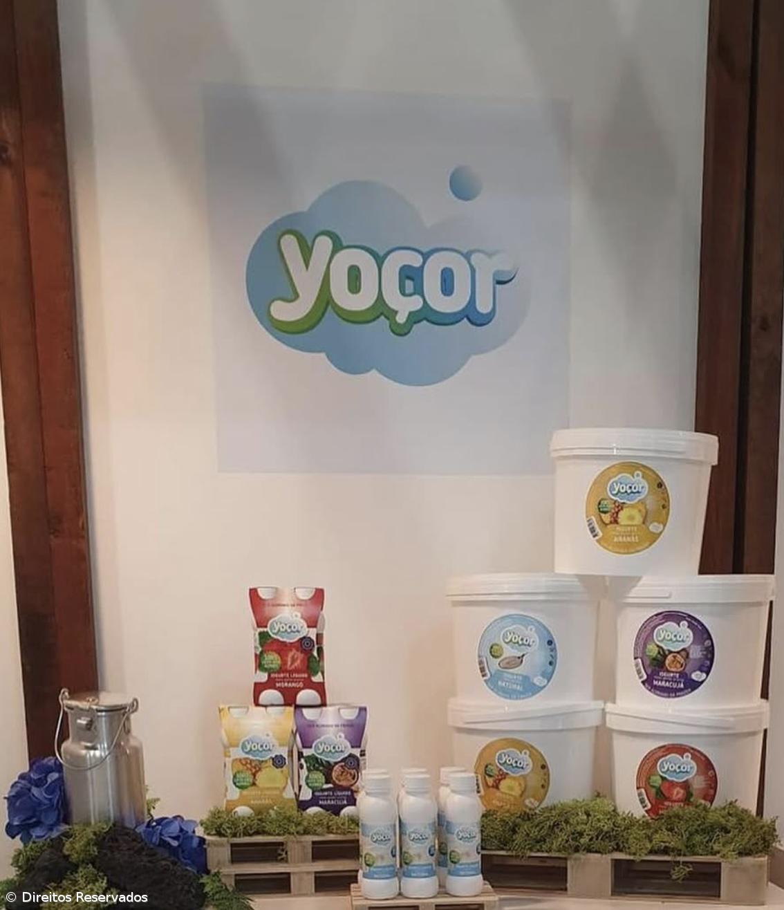 Do leite se faz e aos Açores sabe – Imagem 3