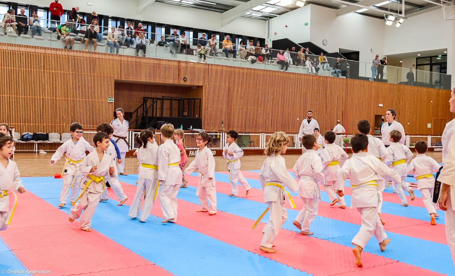 Estágio pedagógico junta mais de centena e meia de atletas  – Imagem 1