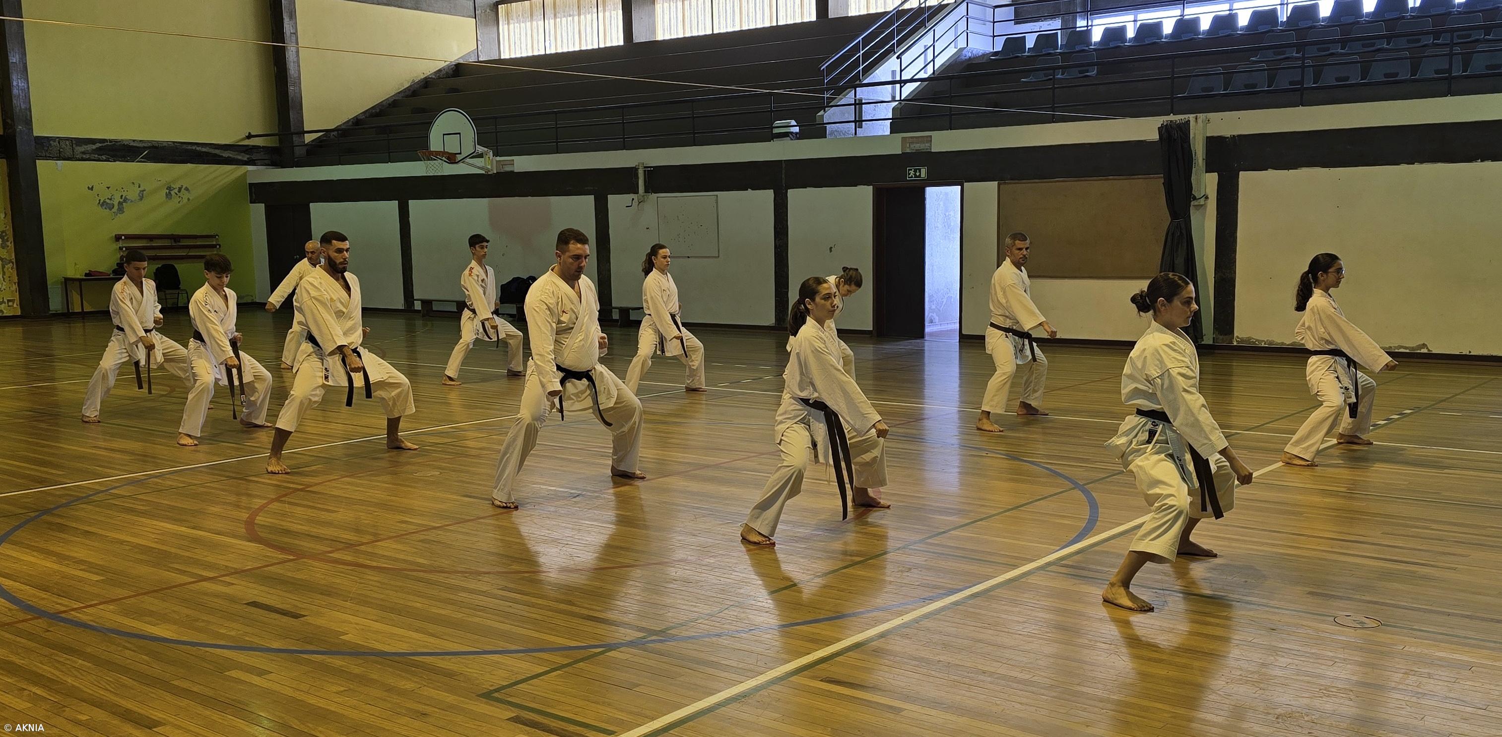 Arrifes acolheu treino de graduados AKNIA – Imagem 1