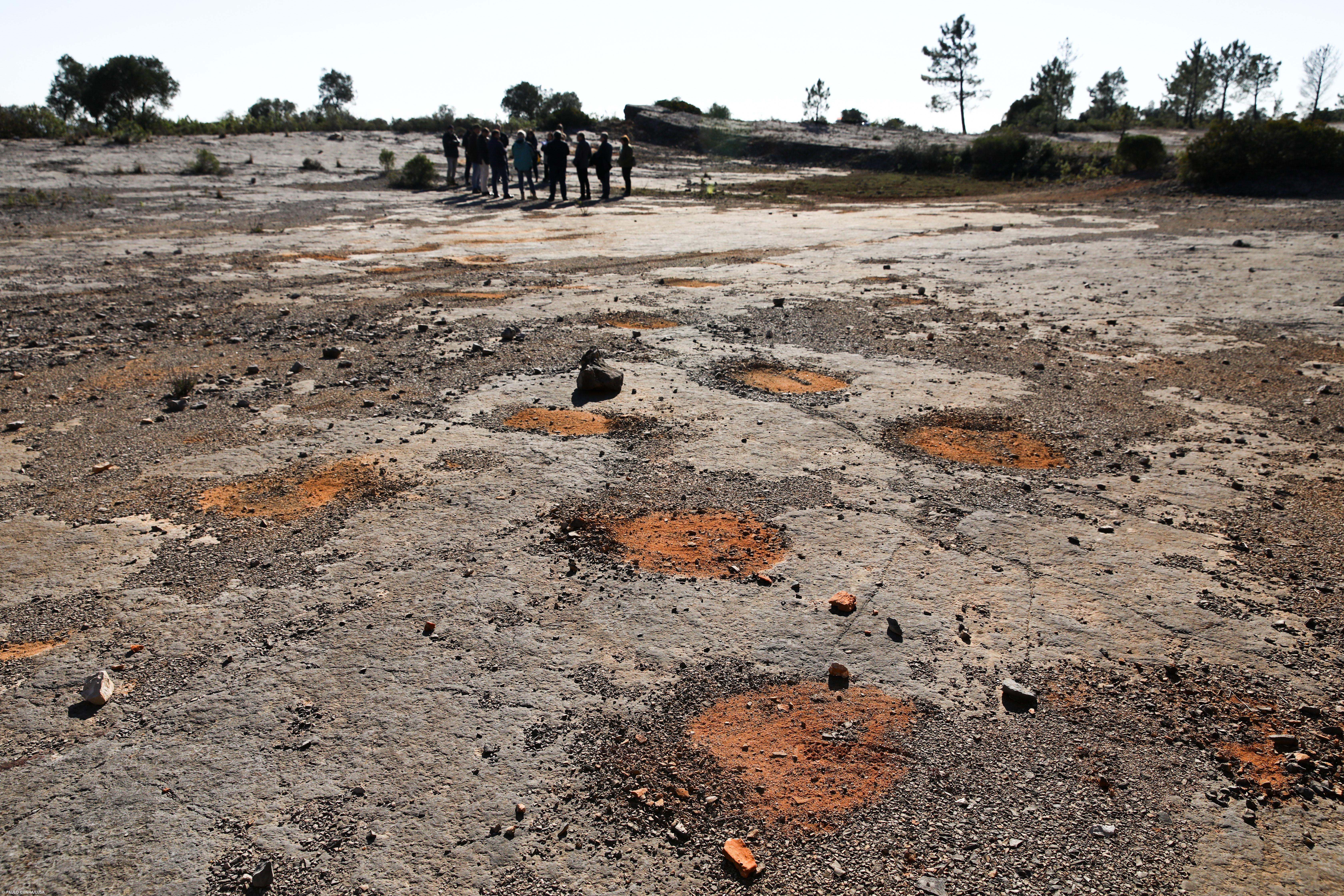Pegadas de dinossáurios descobertas há 20 anos em Torres Novas tornadas públicas hoje – Imagem 1