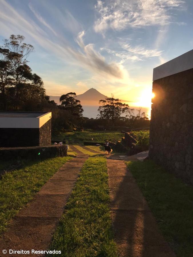 Natureza acolhida e acolhedora – Imagem 3