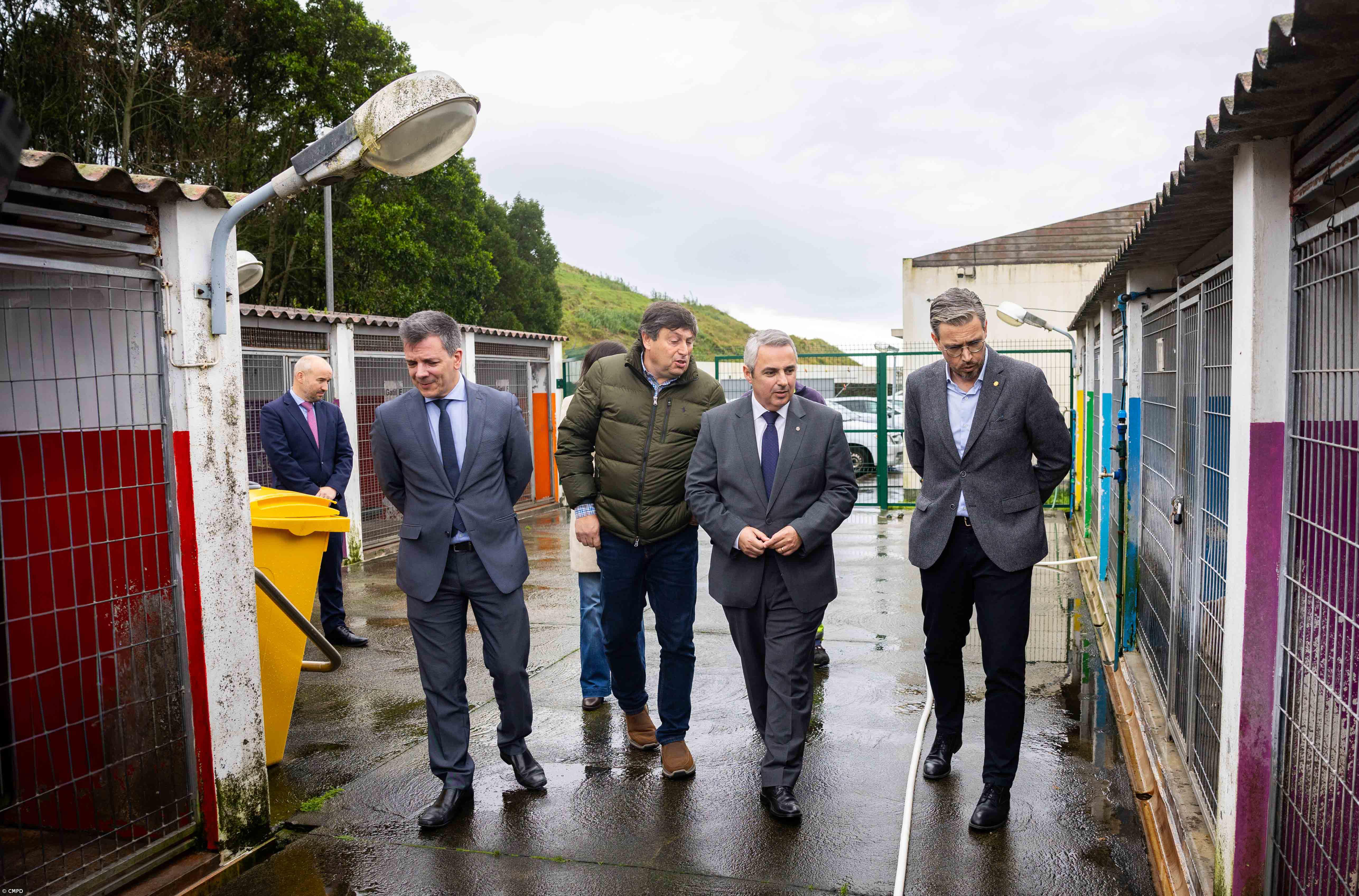 9.169 animais de companhia adotados nos últimos nove anos – Imagem 1