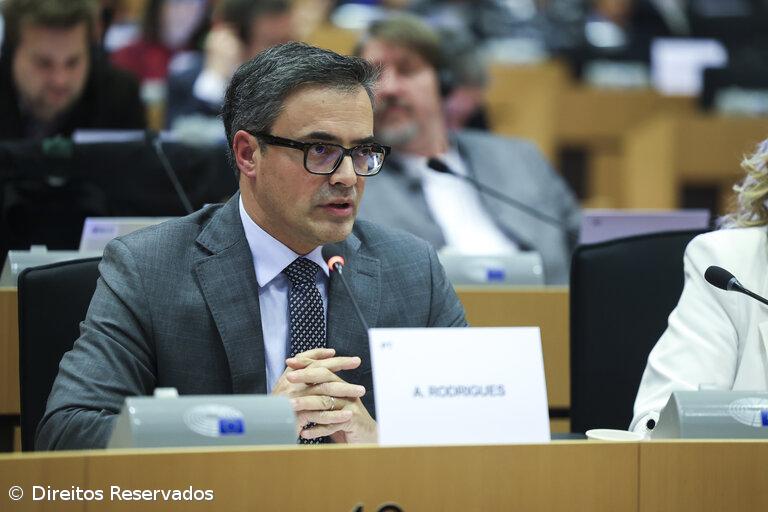 André Rodrigues defende apoio ao setor vitivinícola – Imagem 1