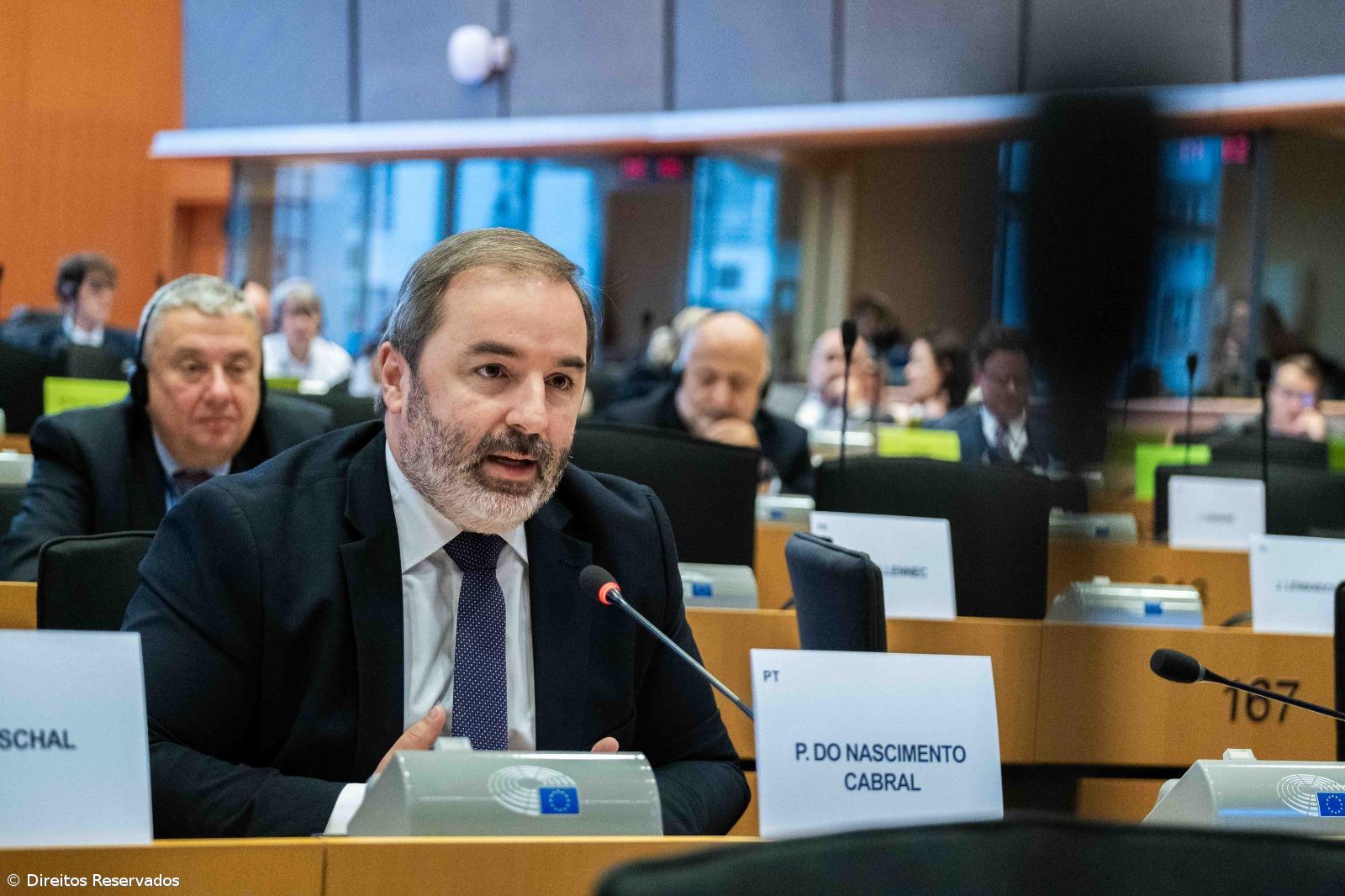 Vitivinicultores não devem ter de produzir “refrigerantes de uva” – Imagem 1