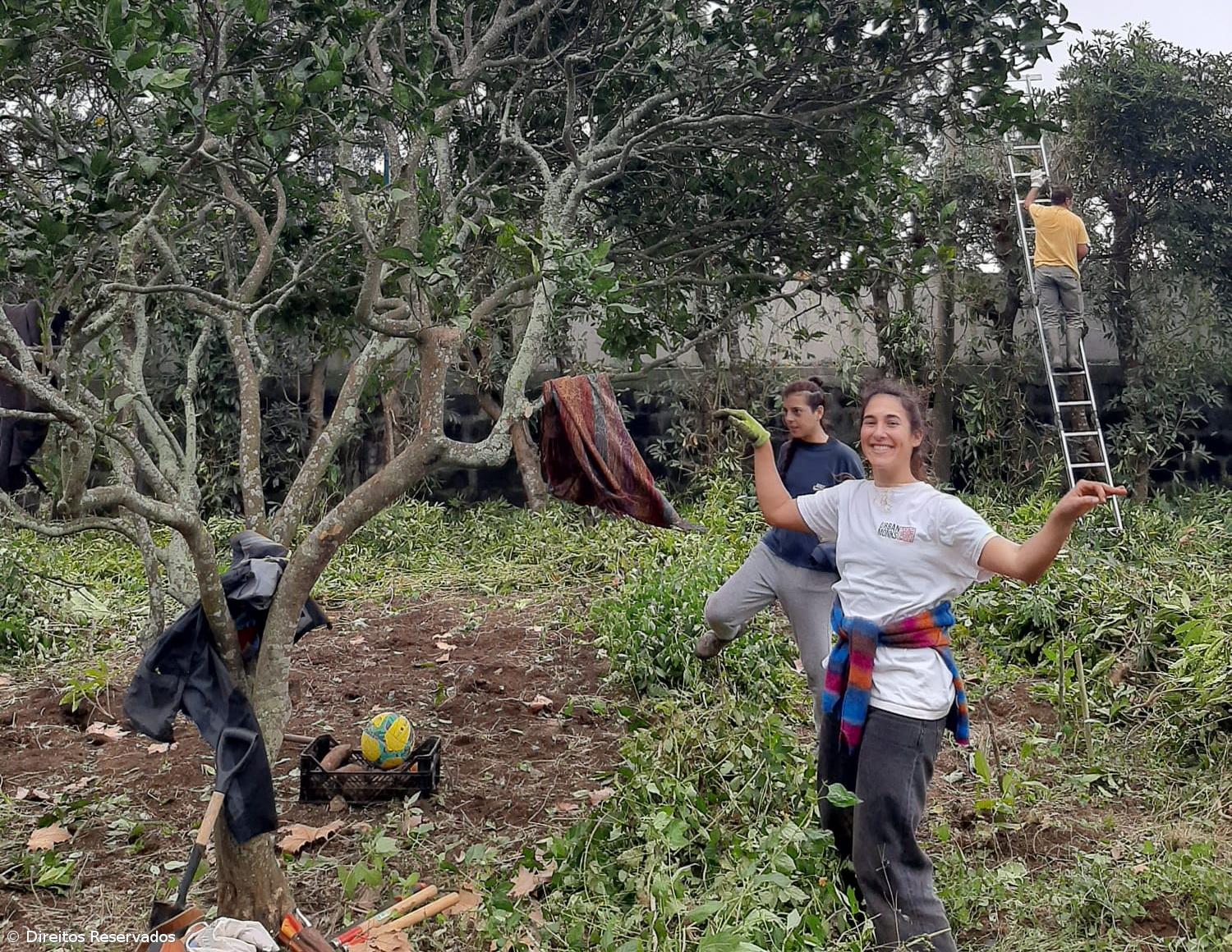 Voluntários criam horta comunitária no Bairro das Laranjeiras – Imagem 1