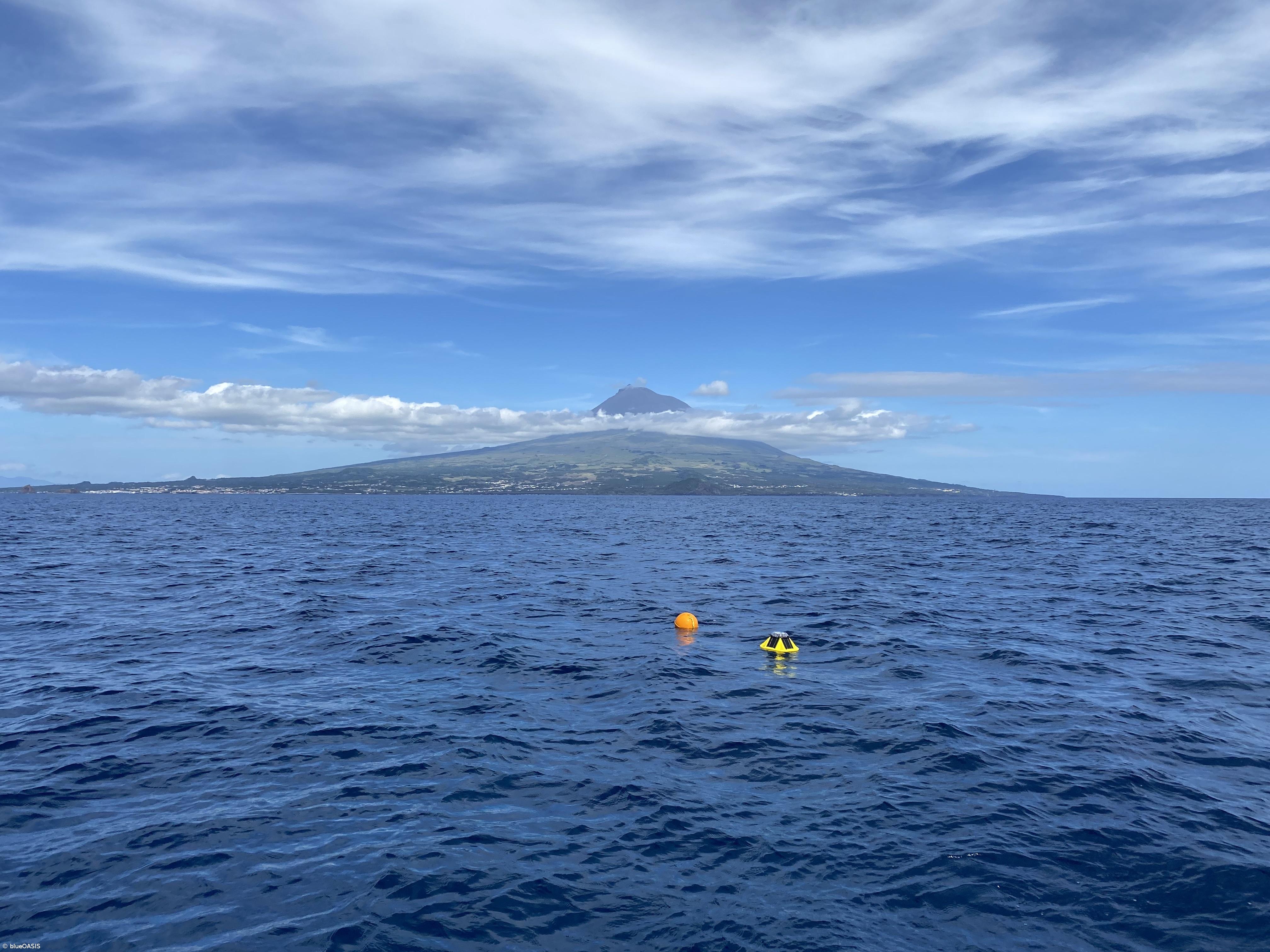 blueOASIS quer tornar os Açores no “Silicon Valley das tecnologias oceânicas” – Imagem 1