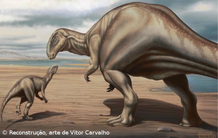 Descoberto novo dinossauro que viveu em Portugal há quase 150 milhões de anos – Imagem 1