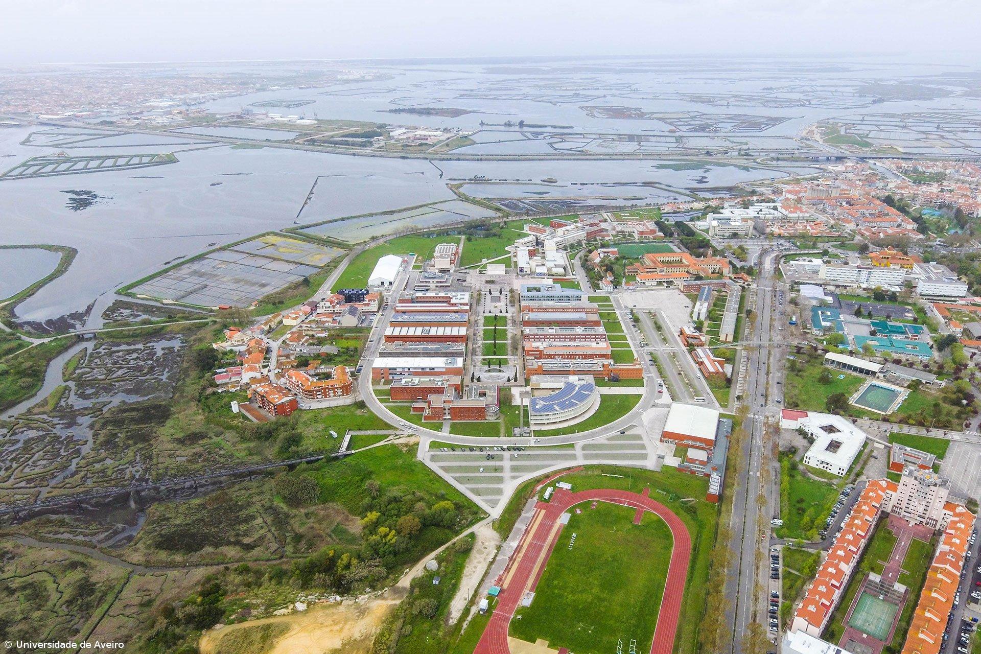 Microalga salina estudada em Aveiro para tratar inflamação e diabetes – Imagem 1