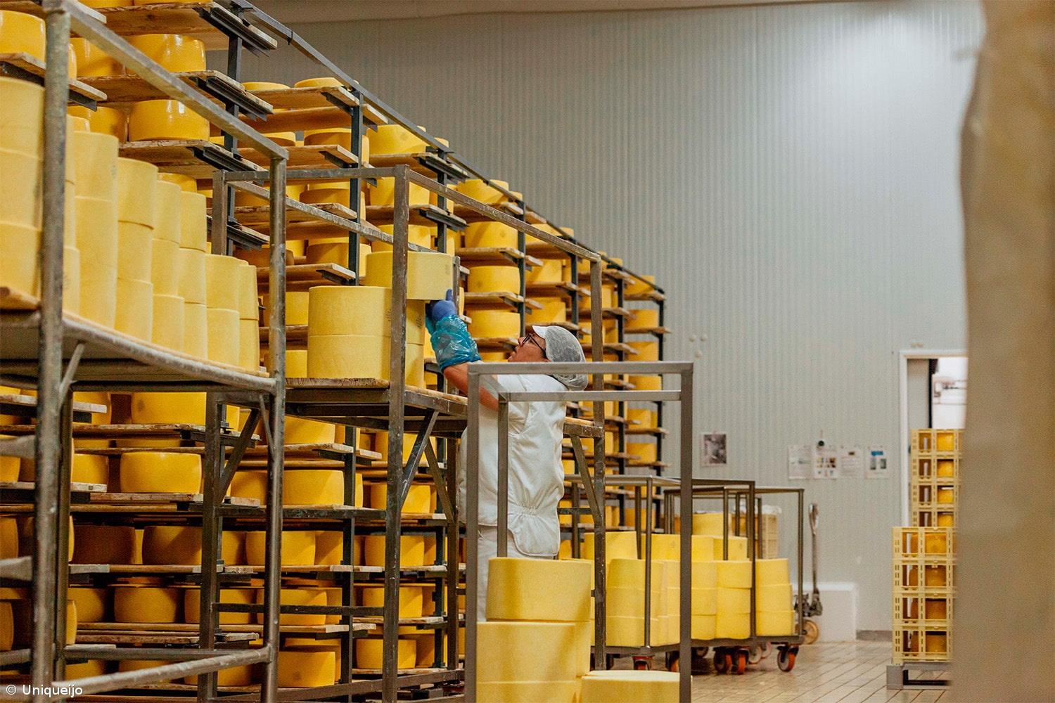 Cooperativas preocupadas com impacto das tarifas dos EUA para queijo de São Jorge  – Imagem 1