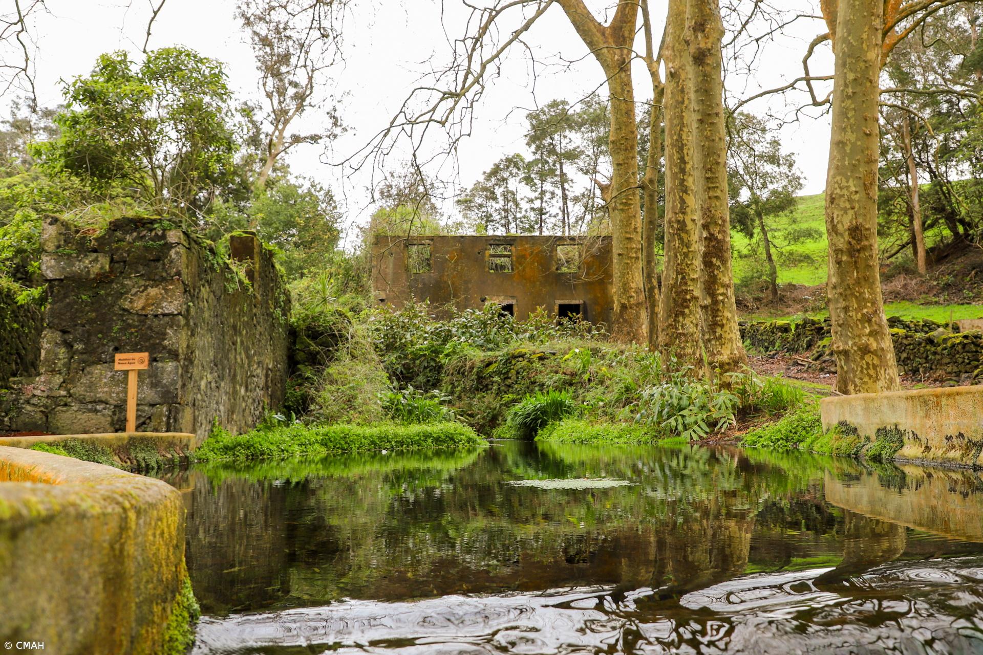 Inaugurado novo trilho pedestre da Rota da Água em Angra do Heroísmo – Imagem 1