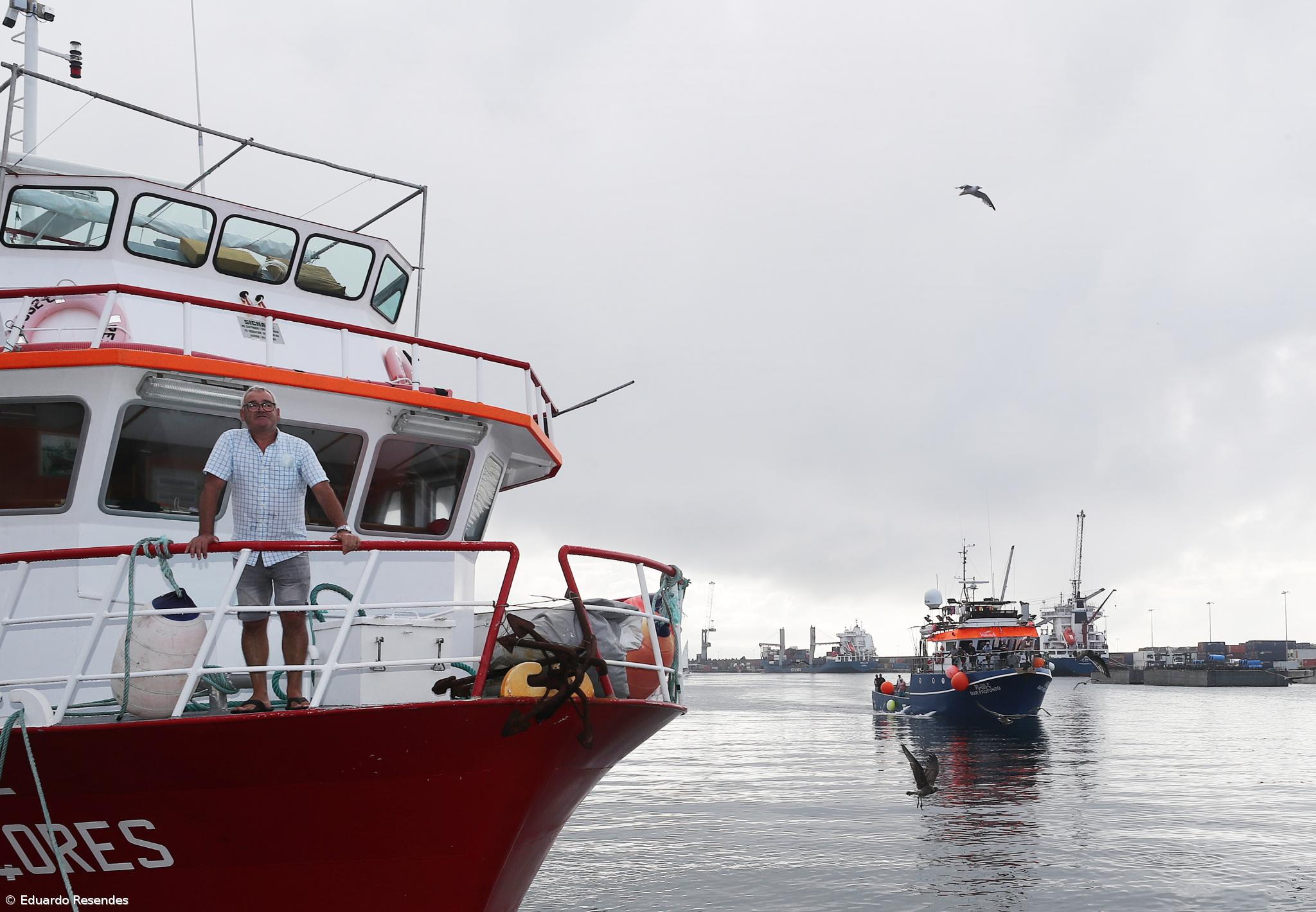 Acordo europeu de pescas prevê menos captura de carapau, solha ou linguado em Portugal – Imagem 1