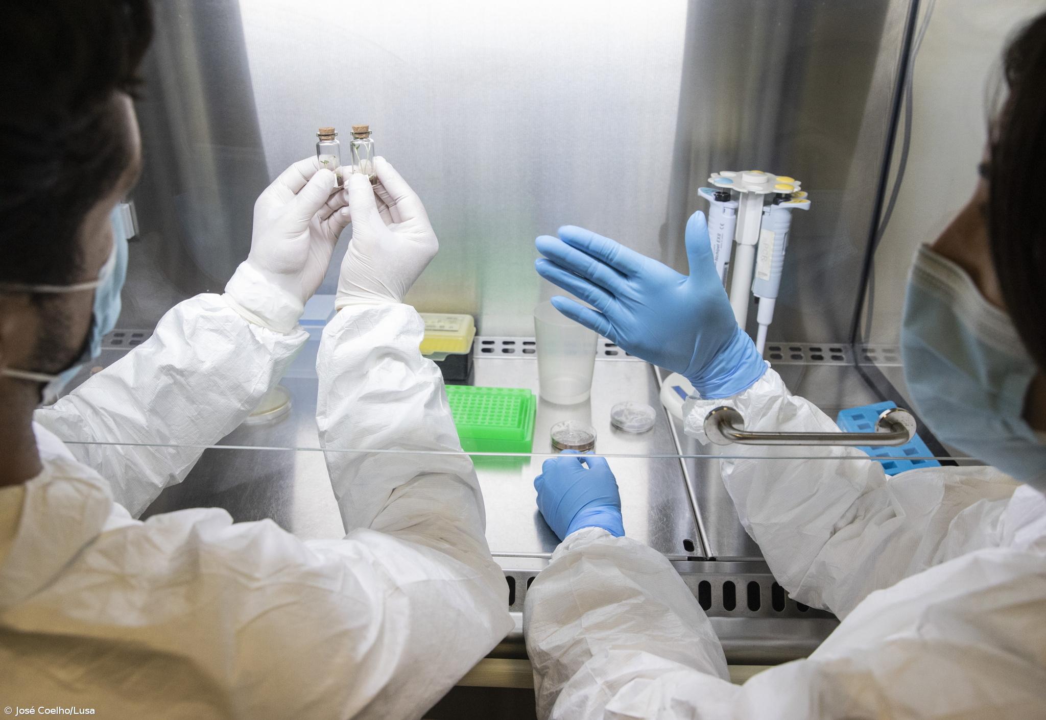 Conselho de Ética alerta para sérios riscos da inseminação caseira na saúde da mulher – Imagem 1