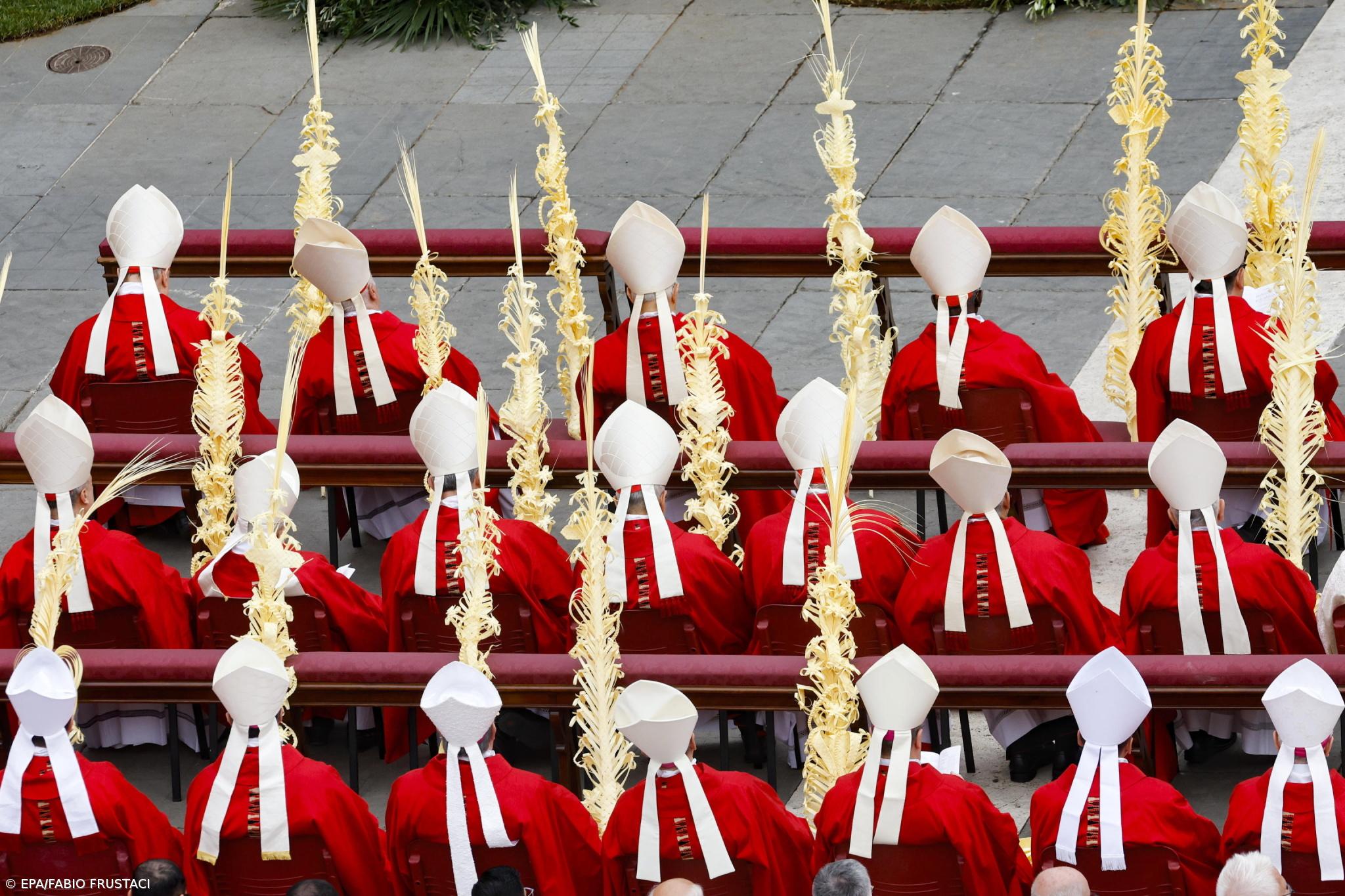 Treze cardeais lusófonos ajudam a escolher sucessor de Francisco – Imagem 1