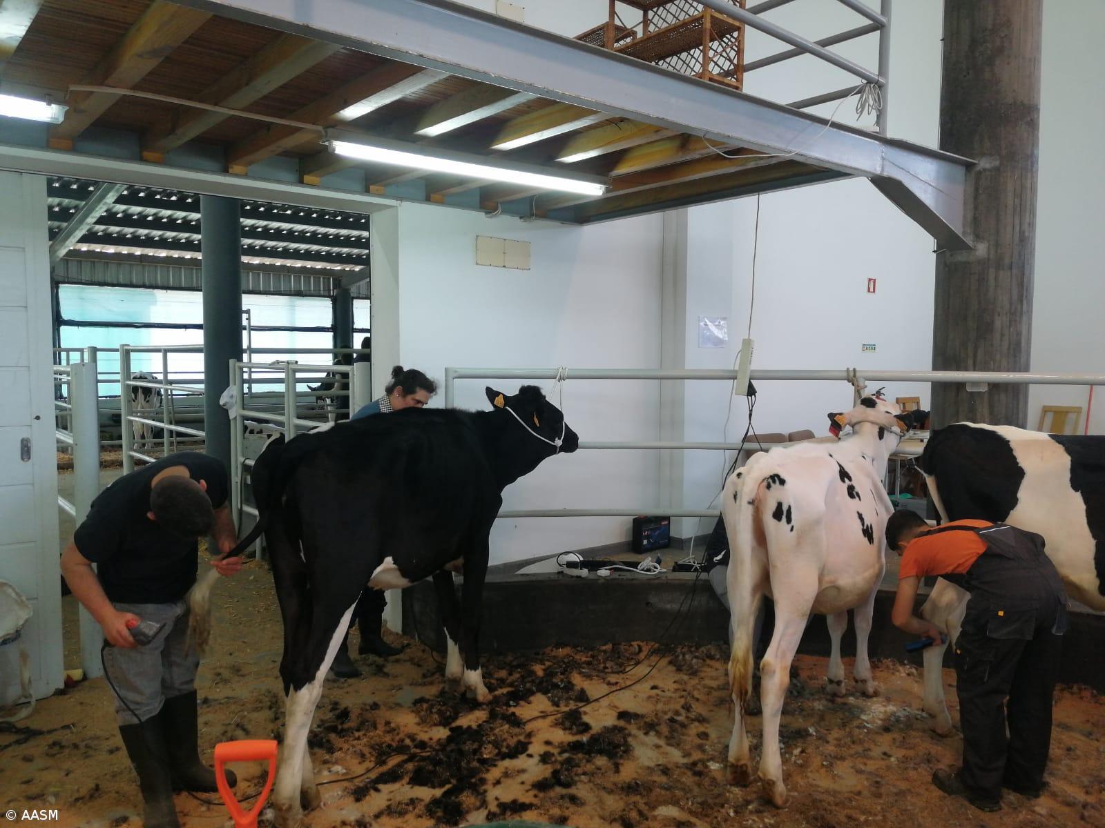 CUA organizou curso que reuniu 60 participantes – Imagem 1