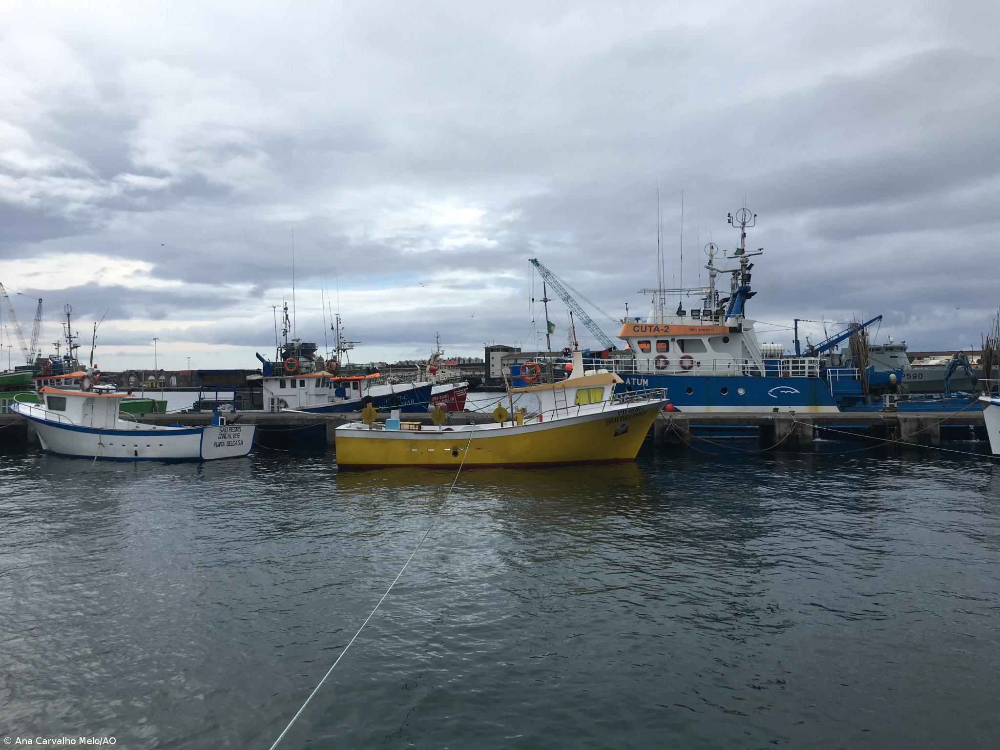 Pesca com quebra de 1,6 ME no primeiro trimestre deste ano – Imagem 1