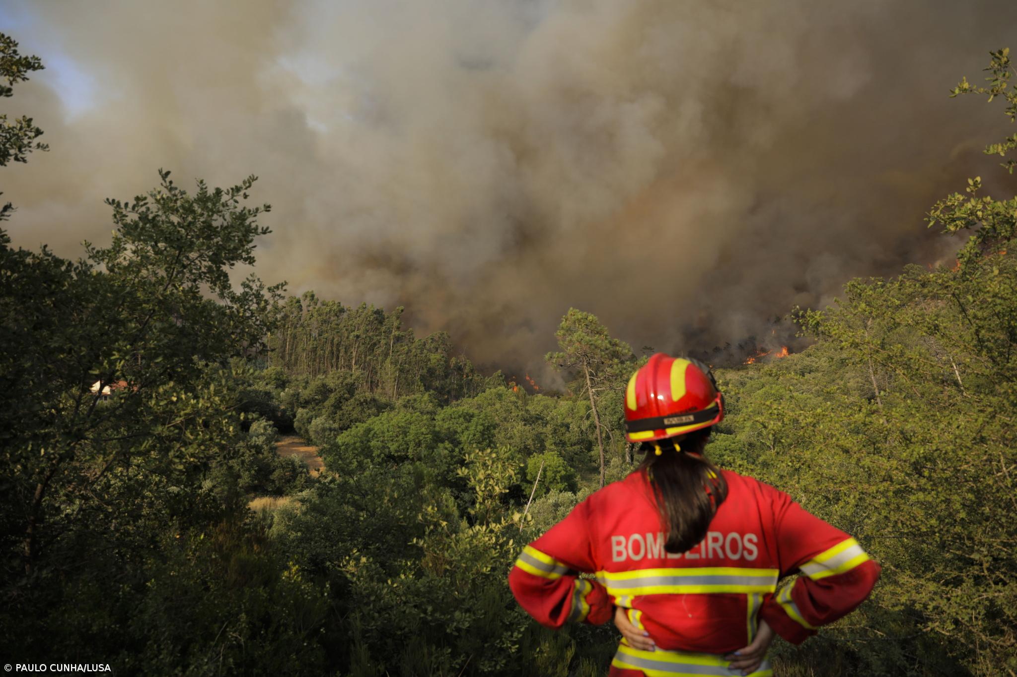IPMA alerta para subida da temperatura e aumento do perigo de incêndio na próxima semana – Imagem 1