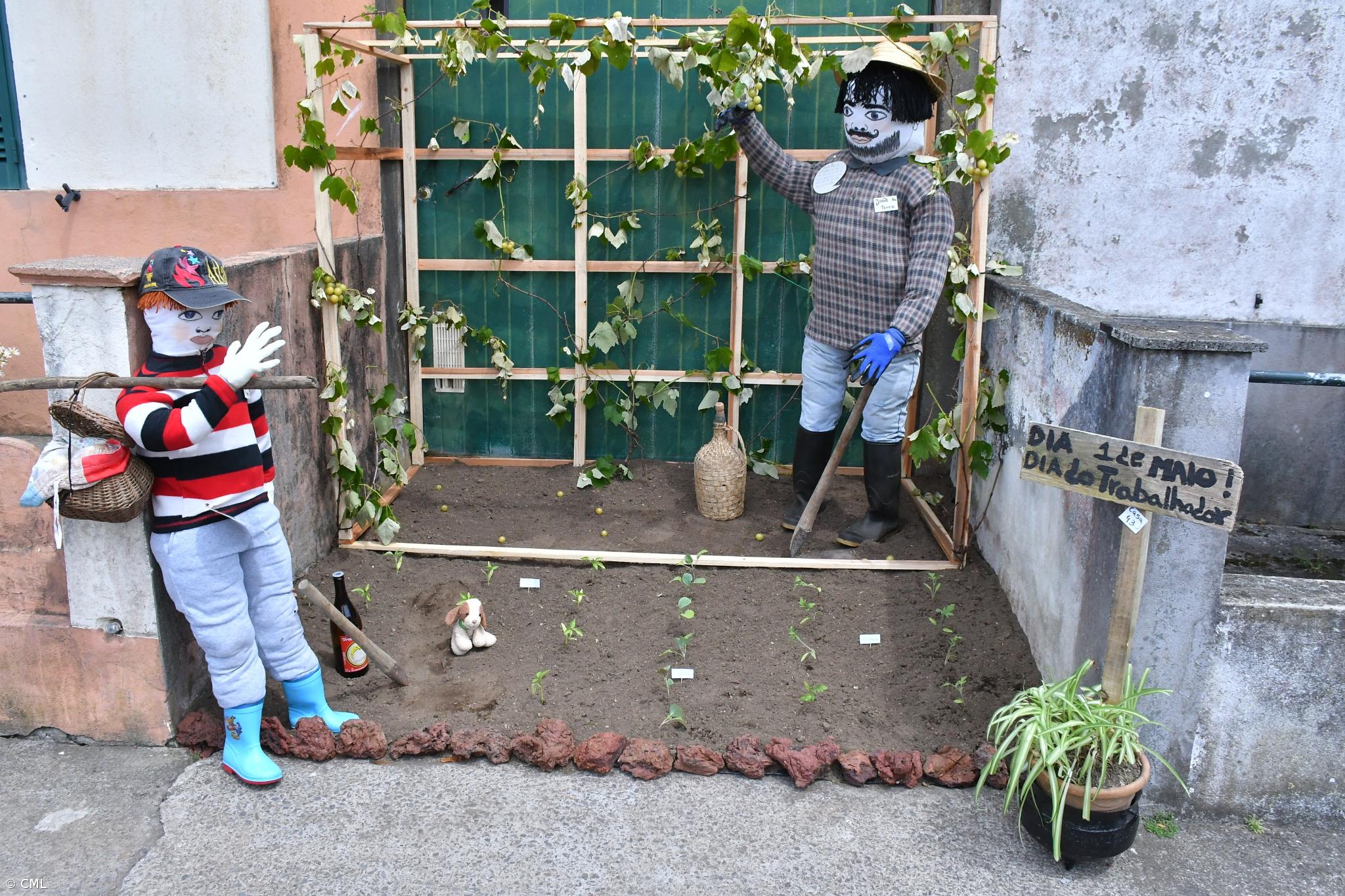 Lagoa promove concurso de Maios – Imagem 1