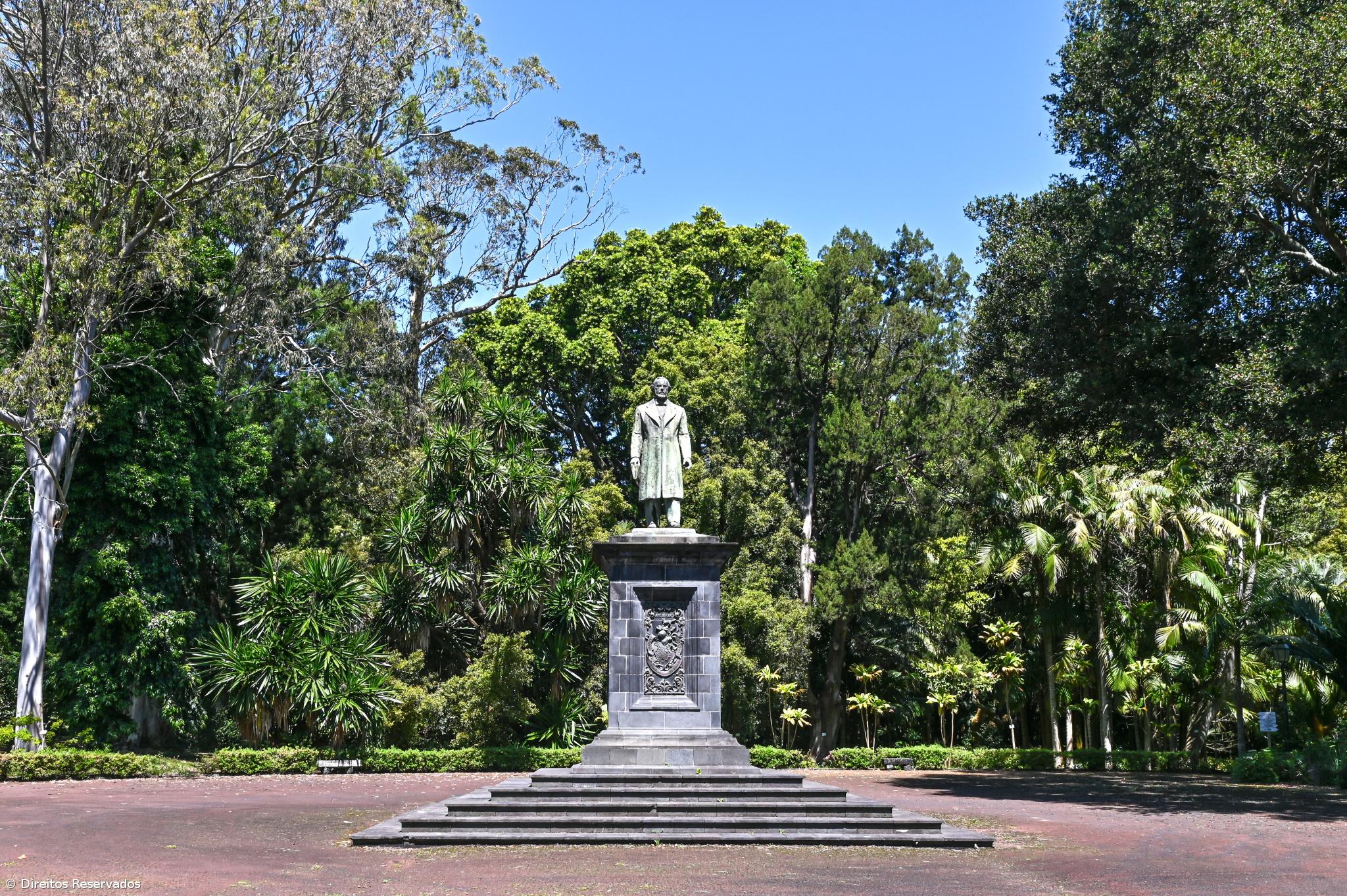 Visitas guiadas gratuitas ao Jardim Botânico José do Canto  – Imagem 1
