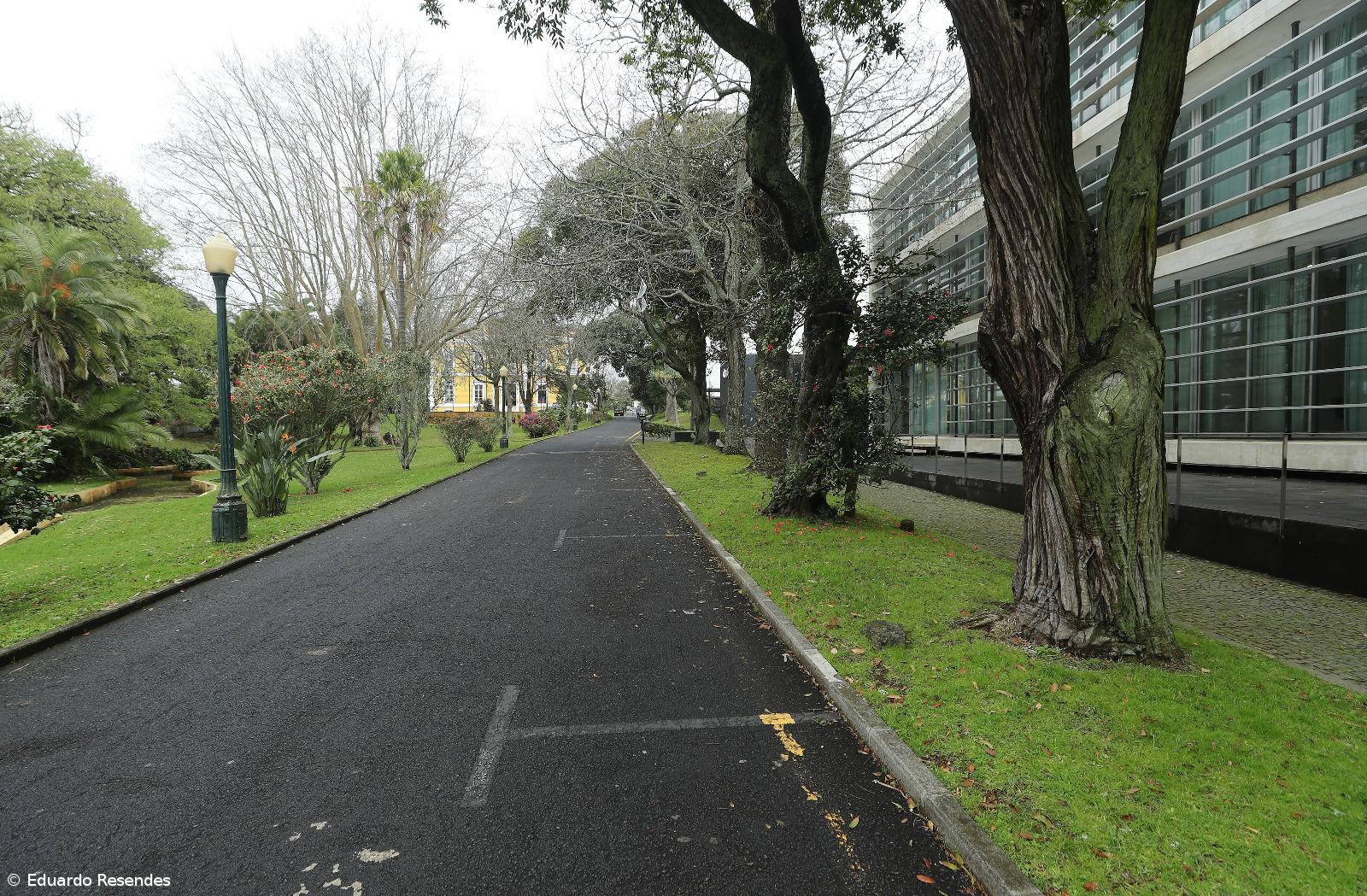 Formalização da ESN Açores deverá ocorrer já no próximo ano letivo, diz associação – Imagem 1