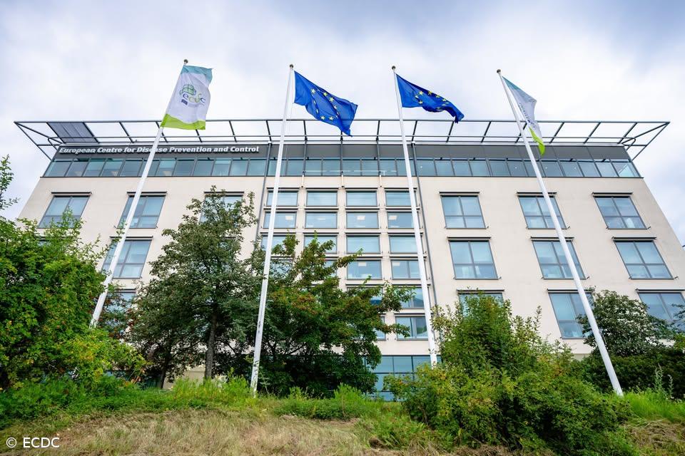 Gripe está a chegar mais cedo e centro europeu de doenças pede para acelerar vacinação – Imagem 1