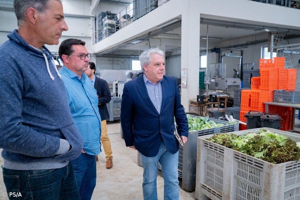 PS/A propõe redução do IVA sobre bens essenciais  – Imagem 1