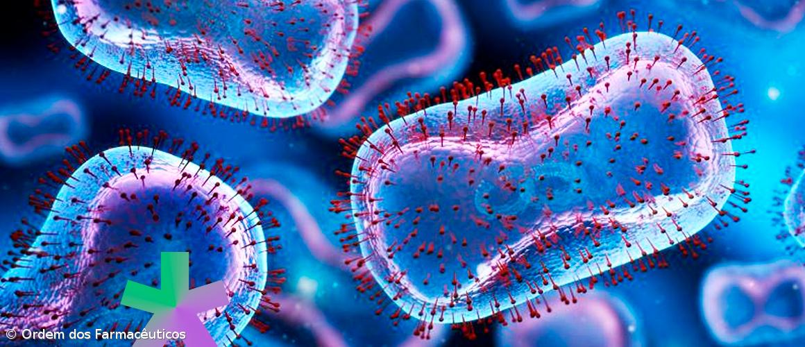 Mpox: Infecciologista afasta hipótese de epidemia em Portugal – Imagem 1