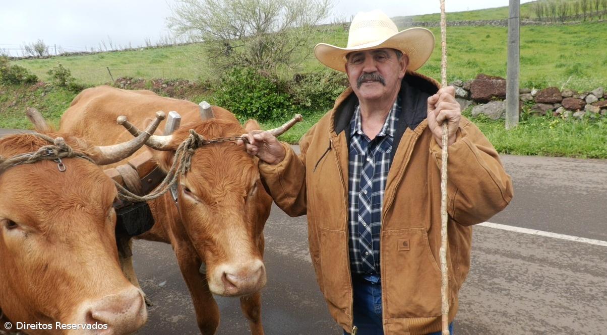 Carros que contam o legado da açorianidade – Imagem 1