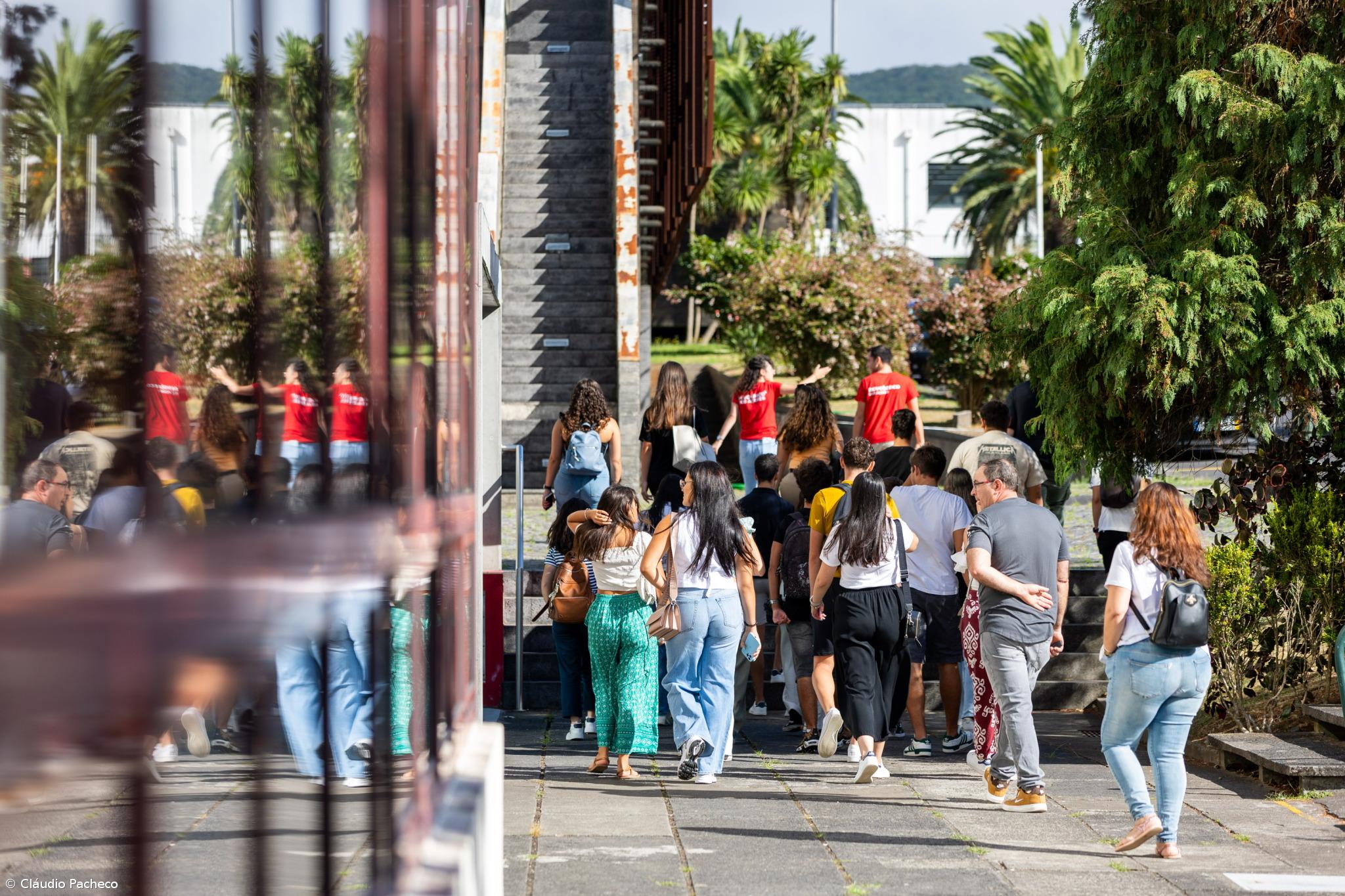 Menos 16% de candidatos a entrar no ensino superior – Imagem 1