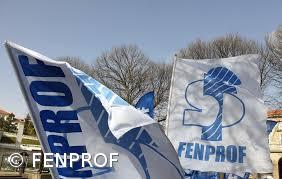 Nova direção da Fenprof eleita com 96,6% dos votos – Imagem 1