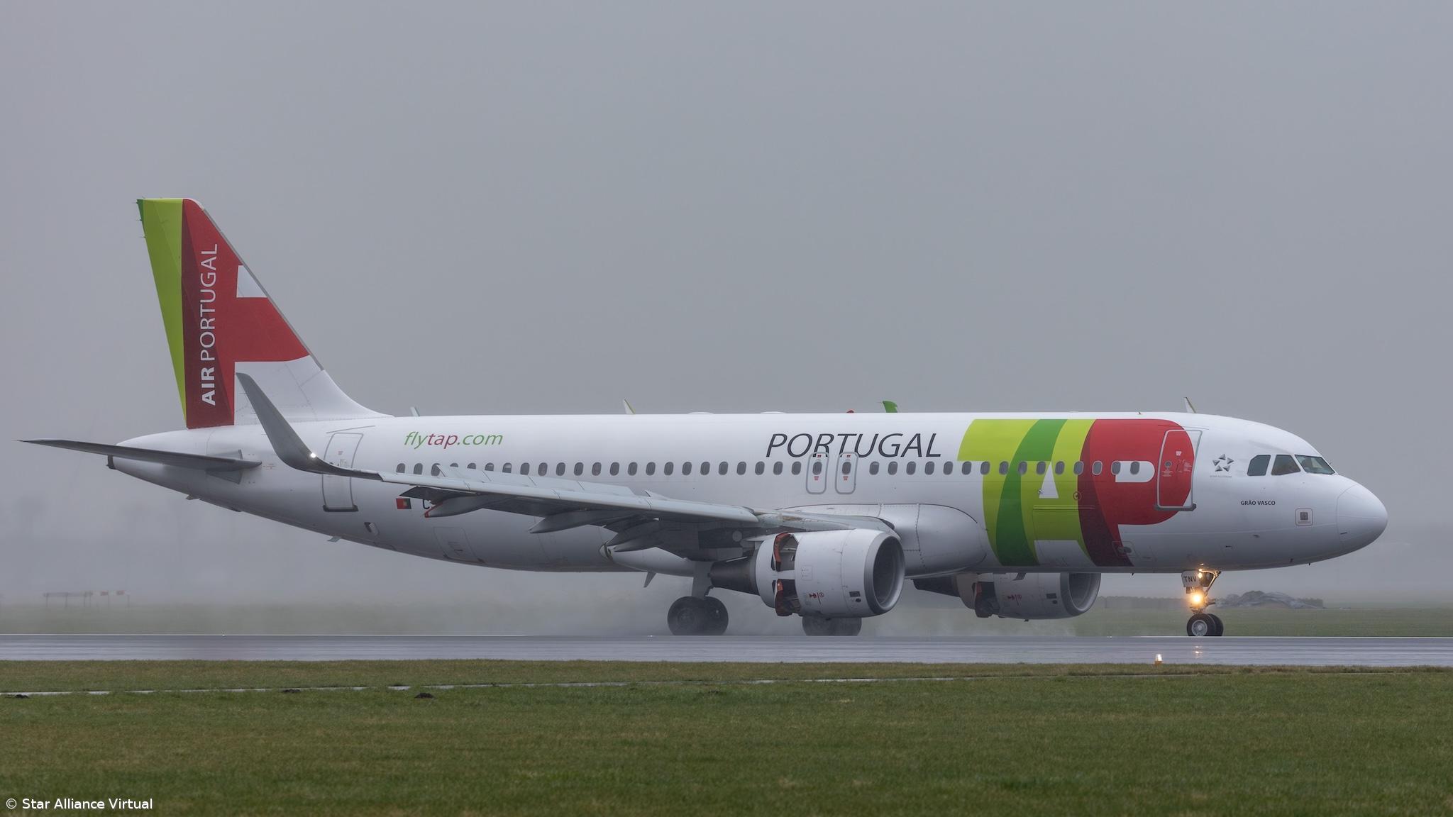 CEO da TAP confiante de que turismo entre Portugal e EUA vai continuar forte – Imagem 1