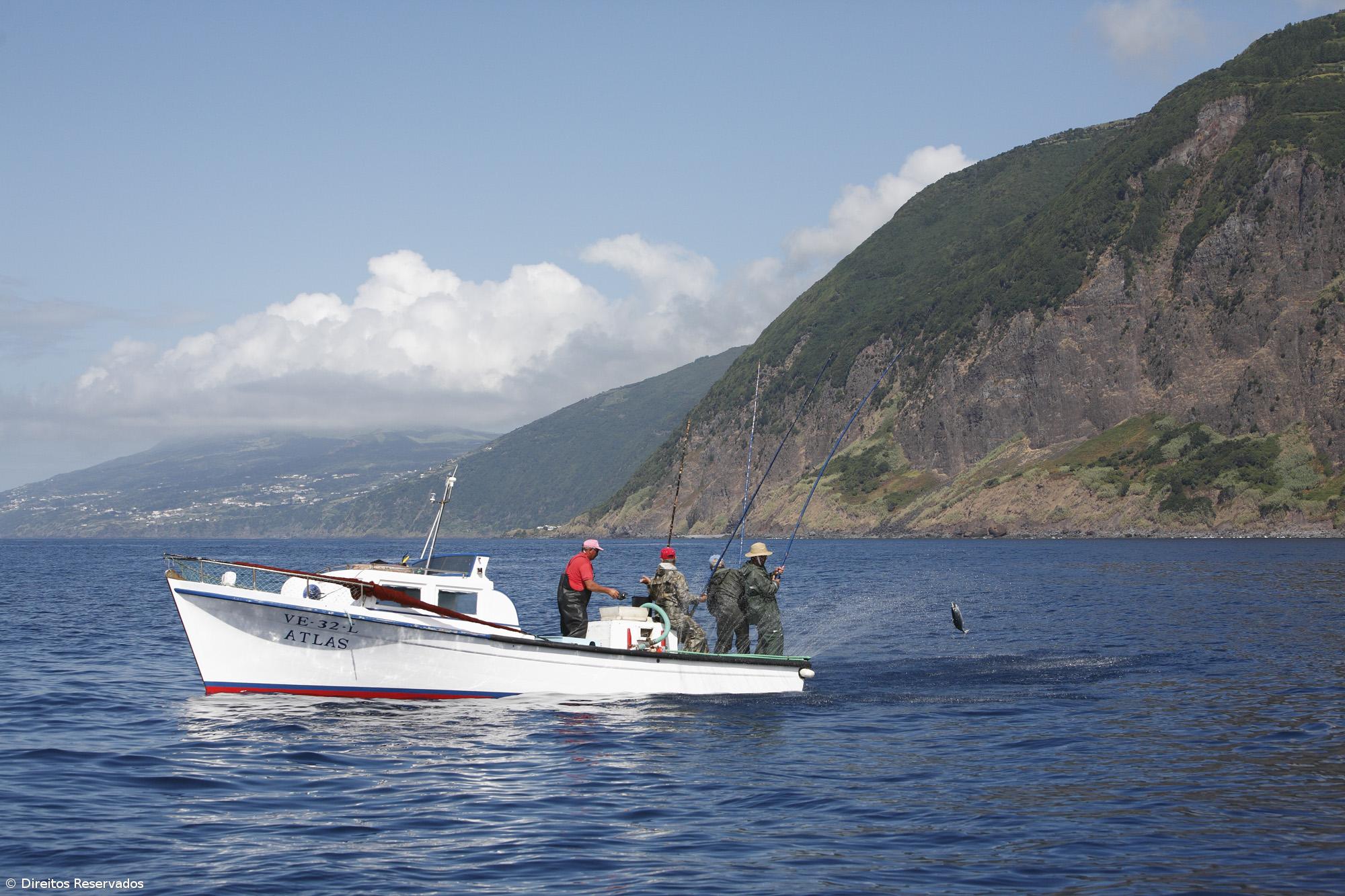Açores fecham 2025 com mais peixe descarregado – Imagem 1