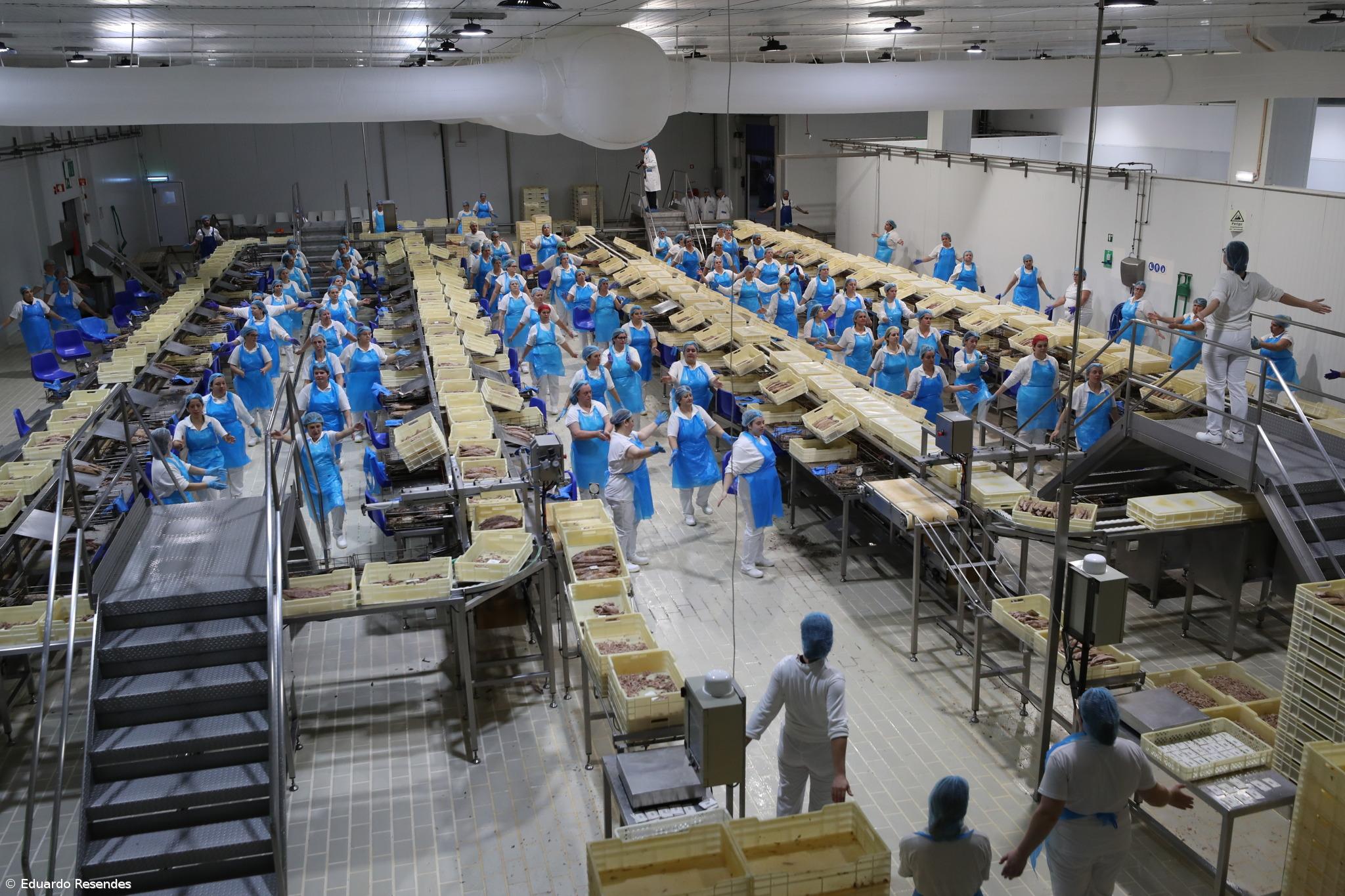 Exportações sobem e importações descem no 1.º trimestre de 2025 – Imagem 1