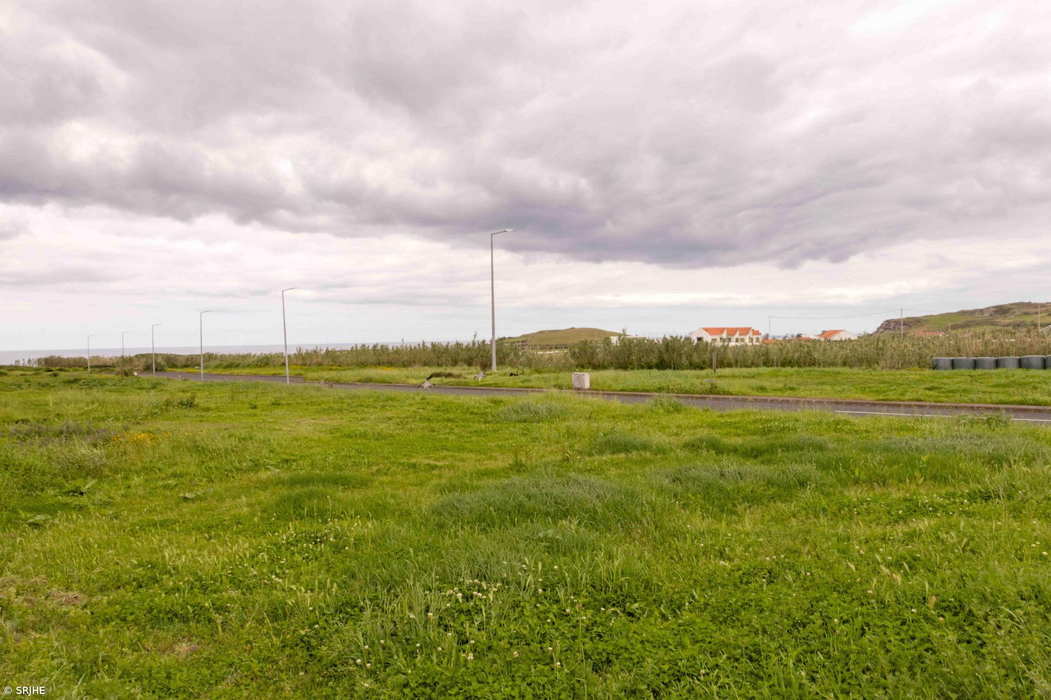 Governo dos Açores atribui 12 lotes infraestruturados para habitação – Imagem 1