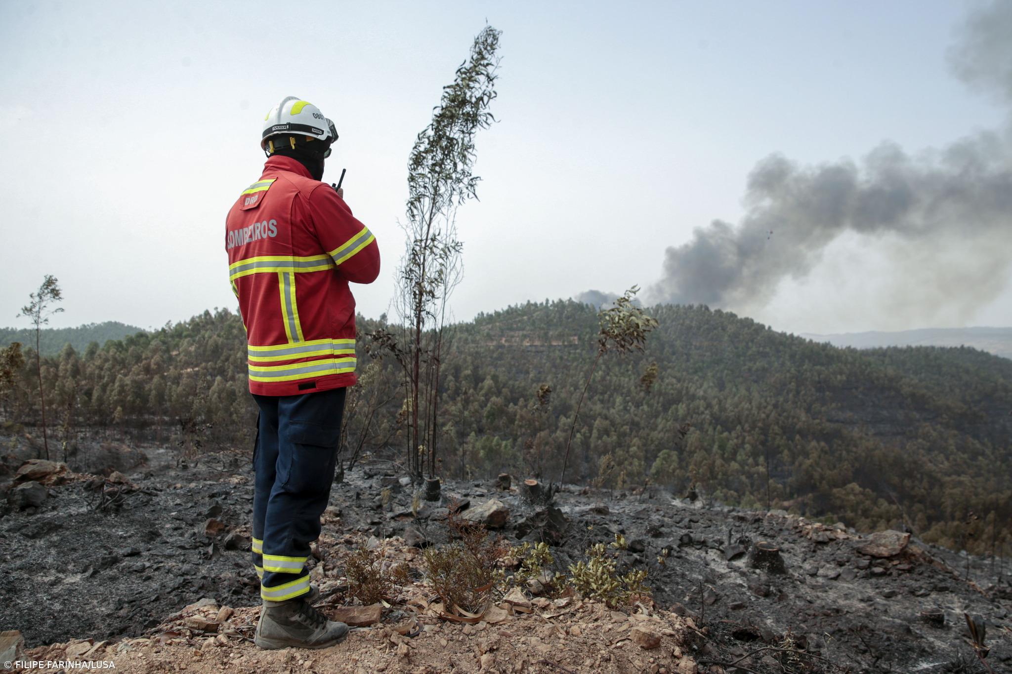 Governo já apoiou em 3,7 ME agricultores afetados pelos incêndios de verão – Imagem 1
