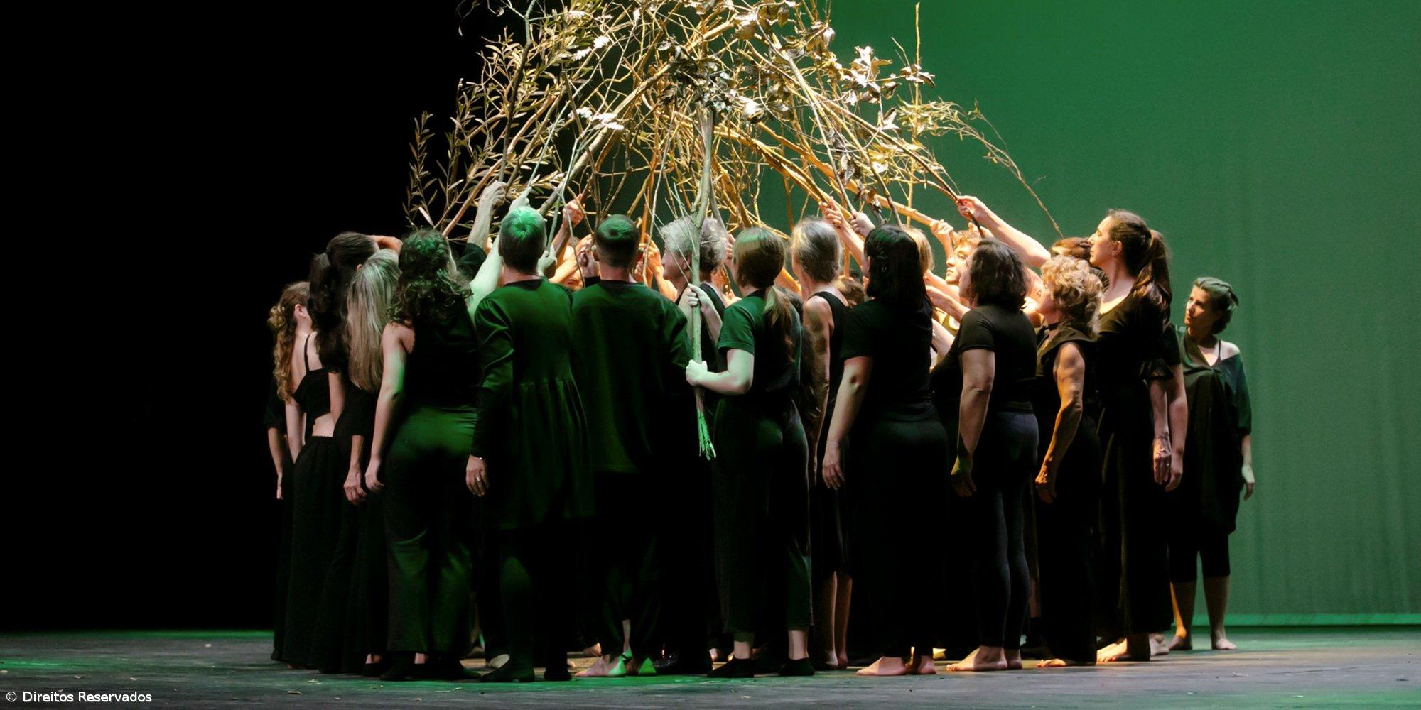 ‘Tsugi’ no Teatro Micaelense a 7 de junho – Imagem 1