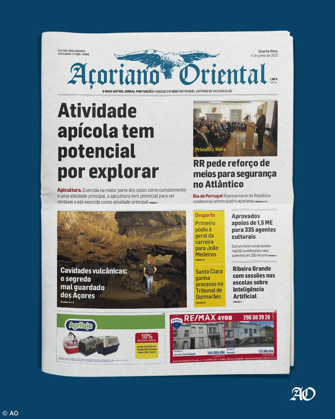 Atividade apícola tem potencial por explorar – Imagem 1