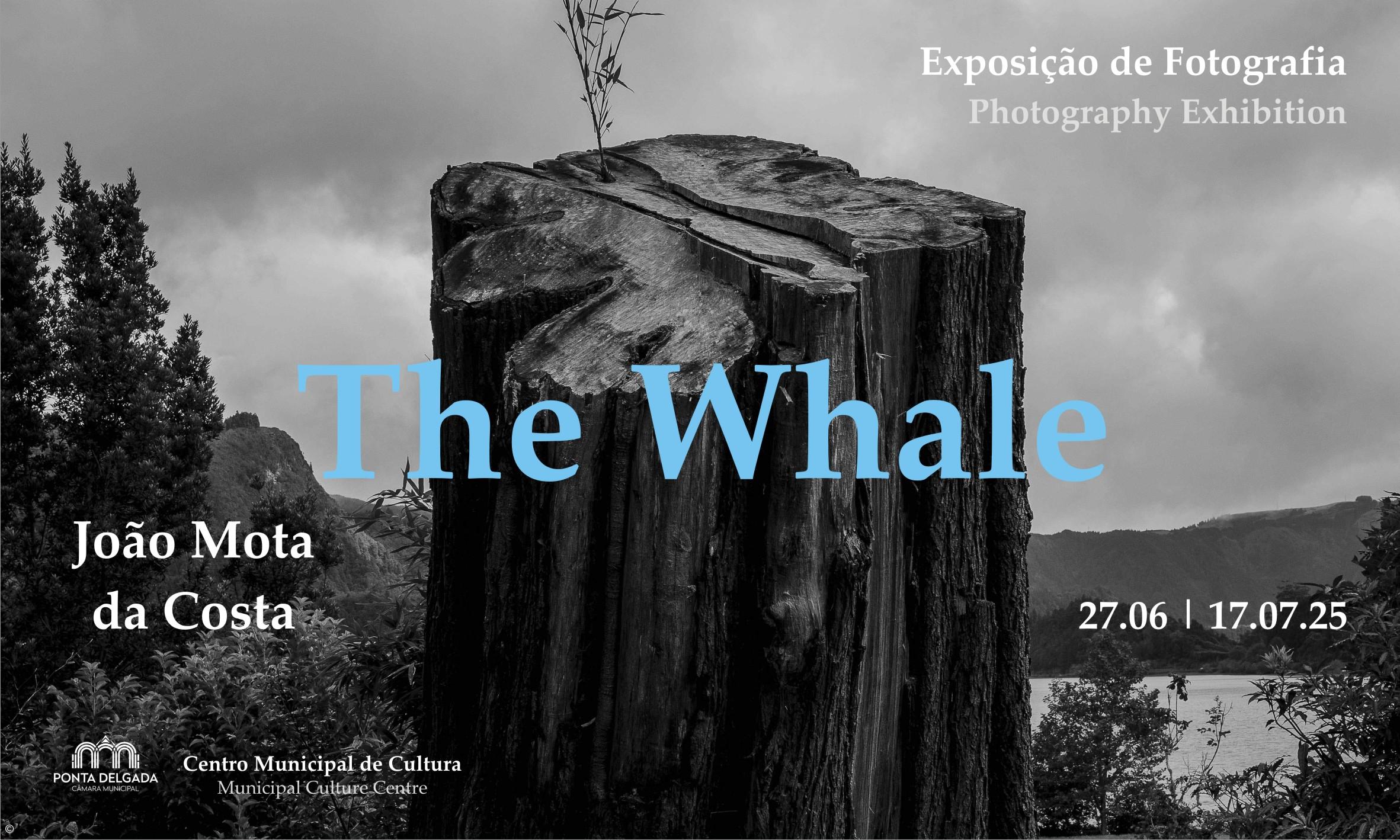 Exposição “The Whale” no Centro Municipal de Cultura – Imagem 1