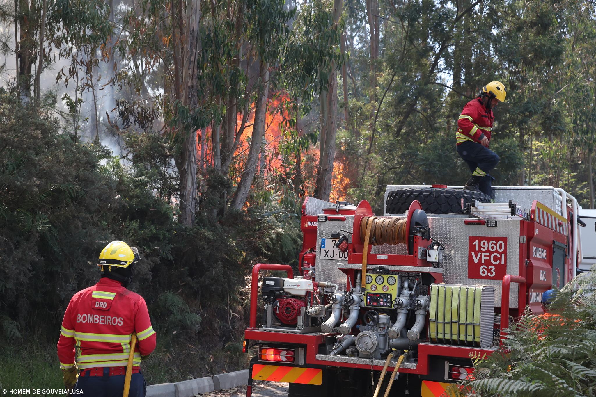 Recorde de 57 presumíveis incendiários detidos preventivamente em 2025 – Imagem 1