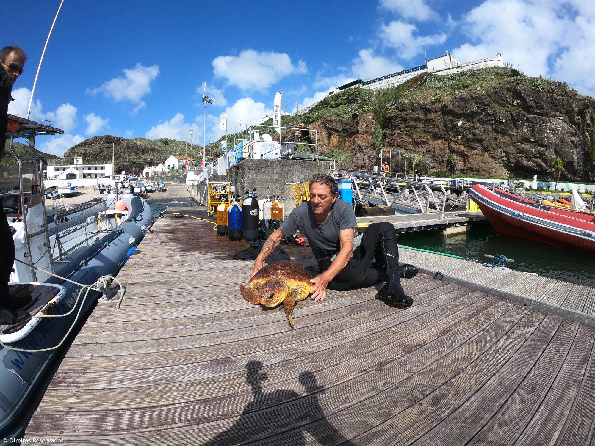 Operadores turísticos e indústria de atum divergem sobre as áreas protegidas nos Açores – Imagem 1