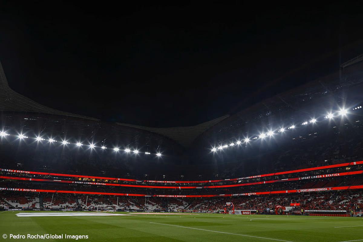 Martim Mayer quer criar diretor-geral de futebol e ampliar Estádio da Luz – Imagem 1