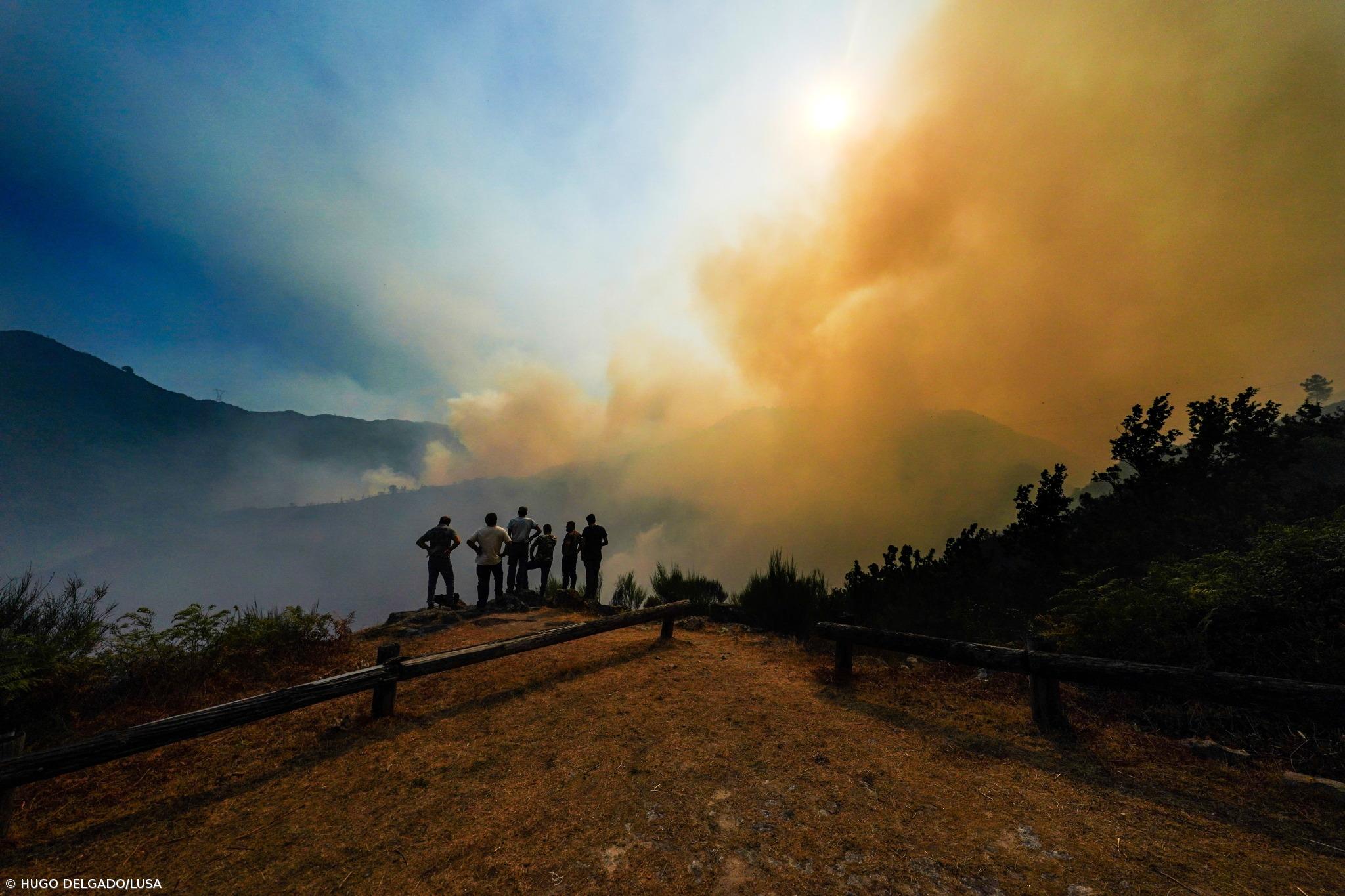 Municípios pediram meios para impor limpeza de terrenos mas não tiveram resposta – Imagem 1