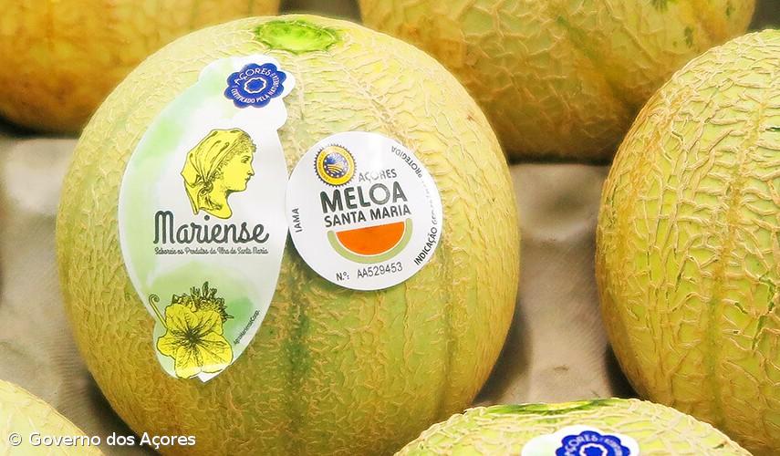 Produtores alertam que transportes estão a limitar produção da meloa de Santa Maria – Imagem 1