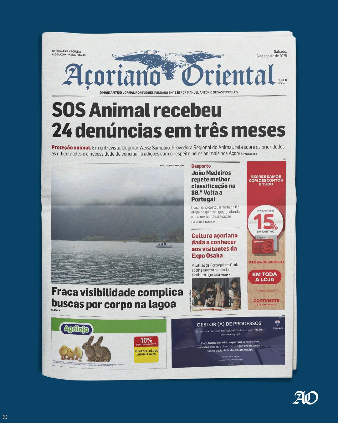 SOS Animal recebeu 24 denúncias em três meses – Imagem 1